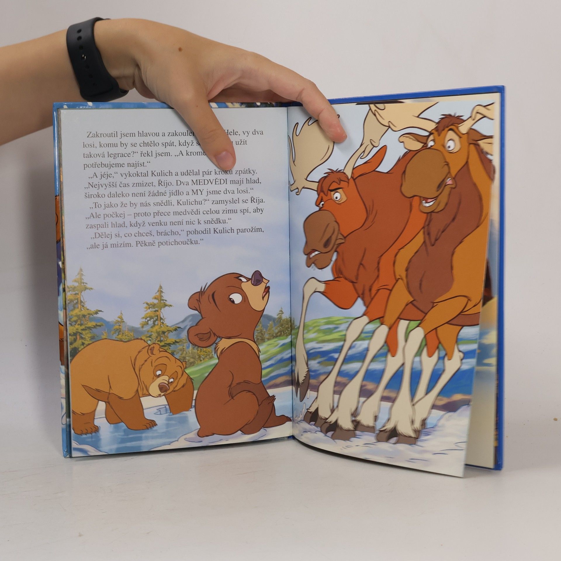 Walt Disney Medvědí bratři. Zimní pohádka