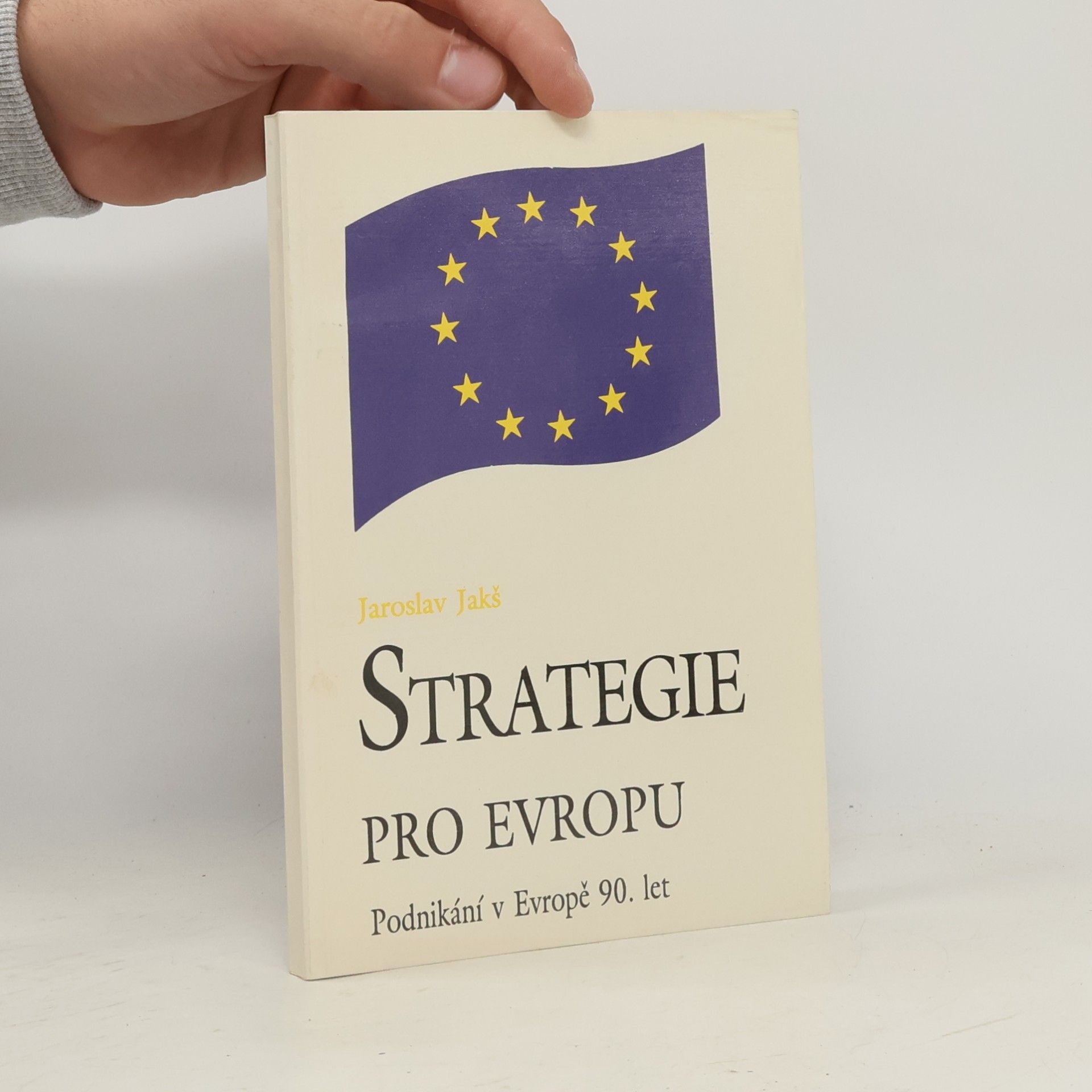 Strategie pro Evropu: podnikání v Evropě 90. let