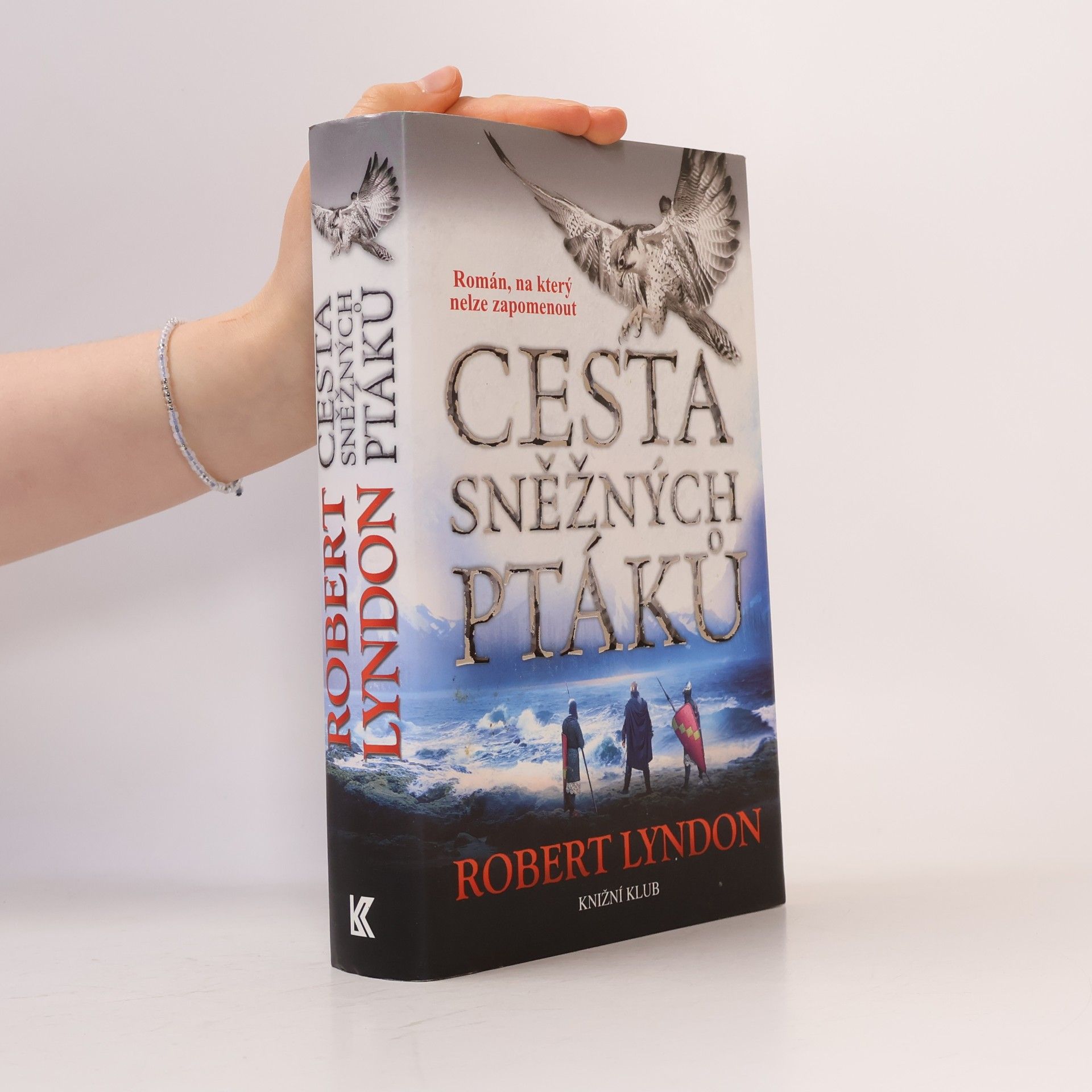 Robert Lyndon Cesta sněžných ptáků