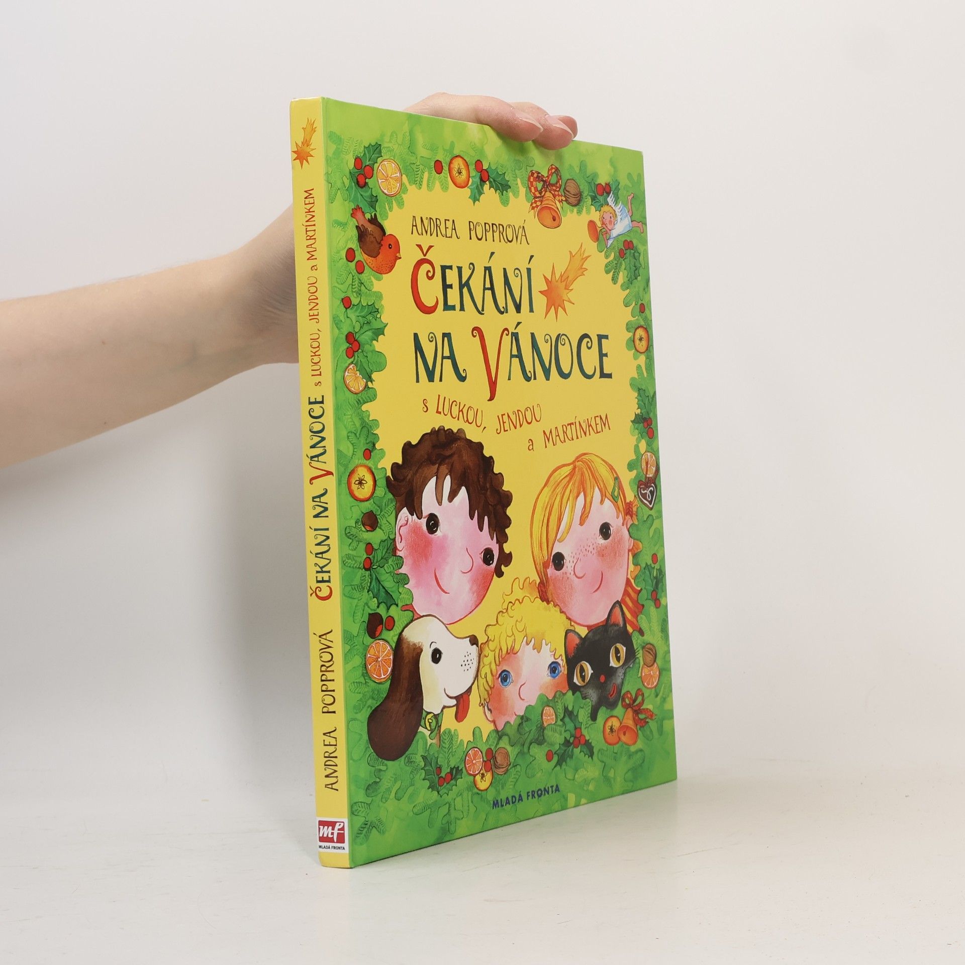 Andrea Popprová Čekání na Vánoce : s Luckou, Jendou a Martínkem