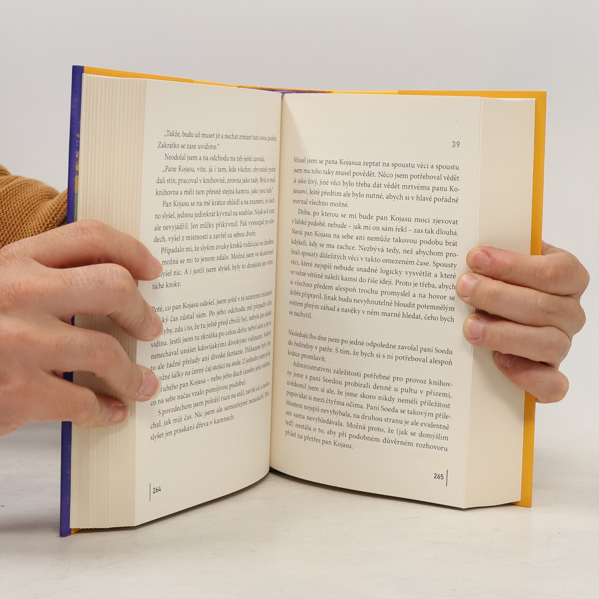 Haruki Murakami Město a jeho nejisté zdi