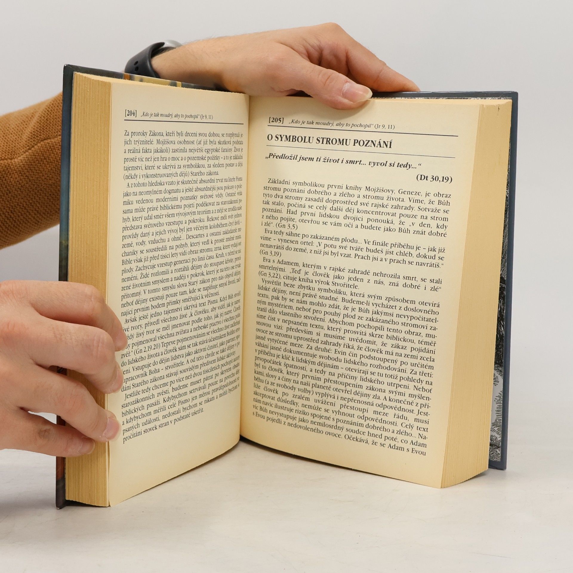 Slavomír Ravik Velká kniha biblických příběhů