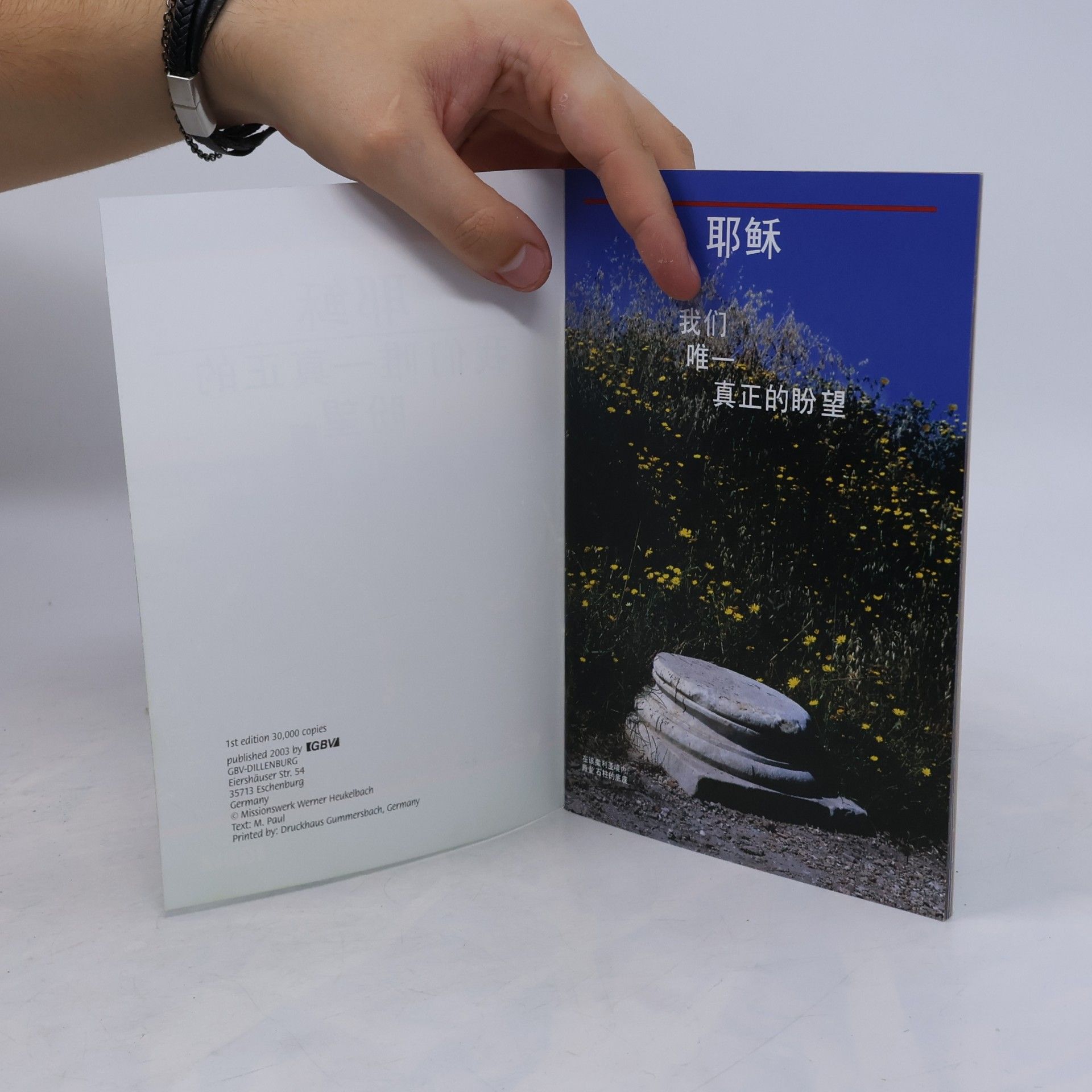 M. Paul 耶稣