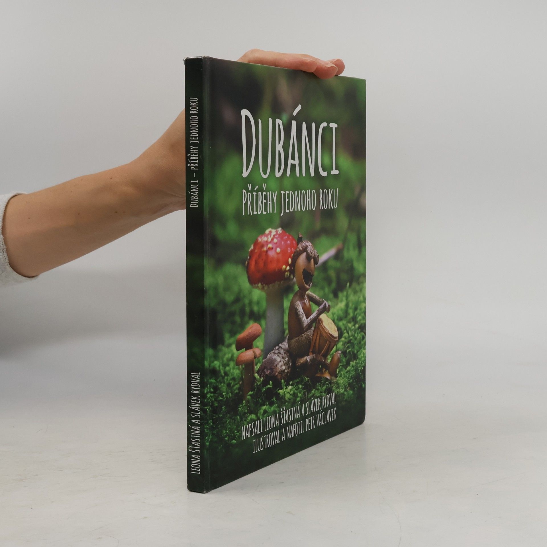 Dubánci: Příběhy jednoho roku