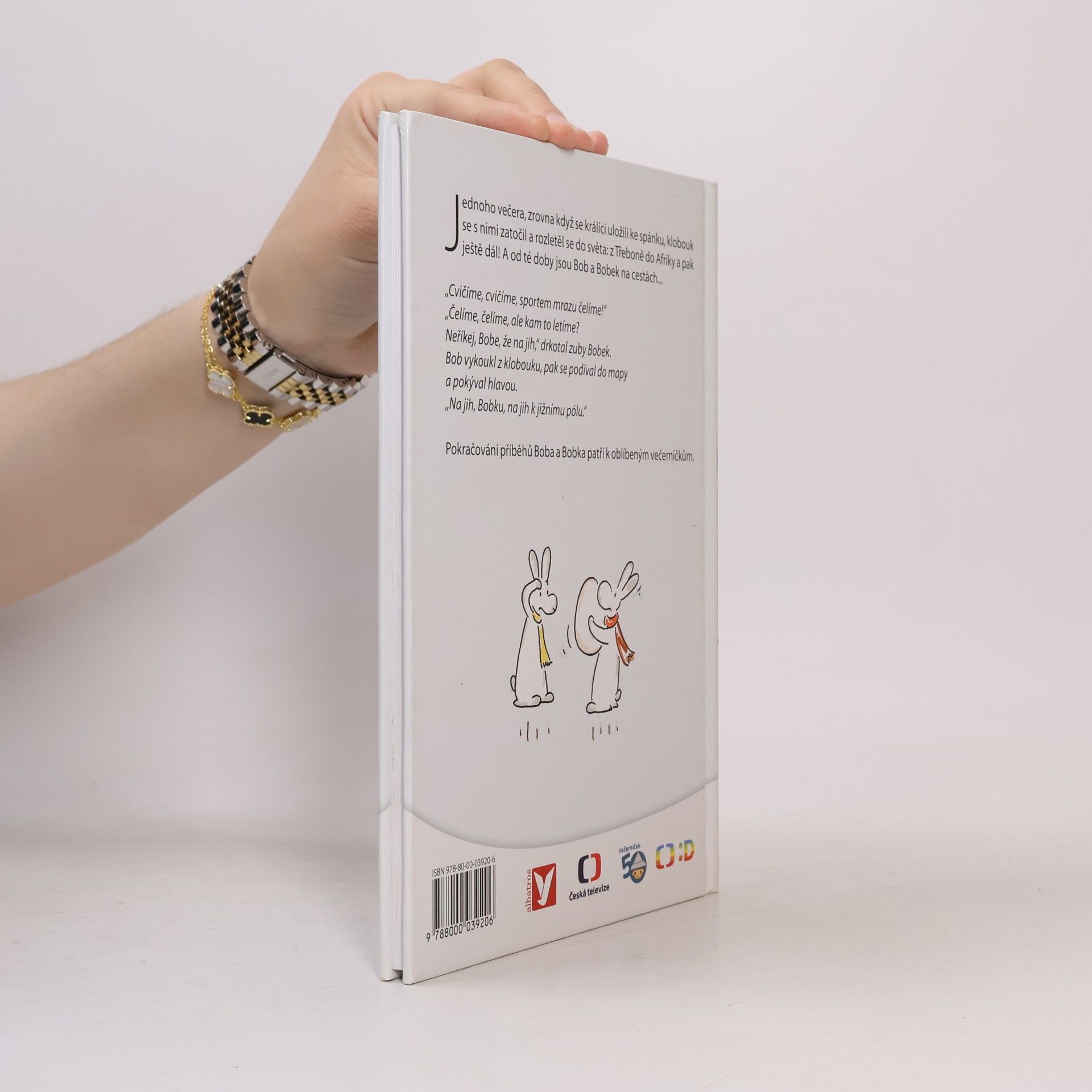 Pavel Šrut Bob a Bobek na cestách