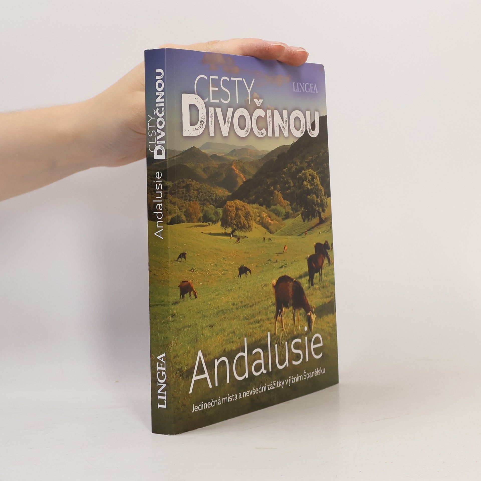 Andalusie
