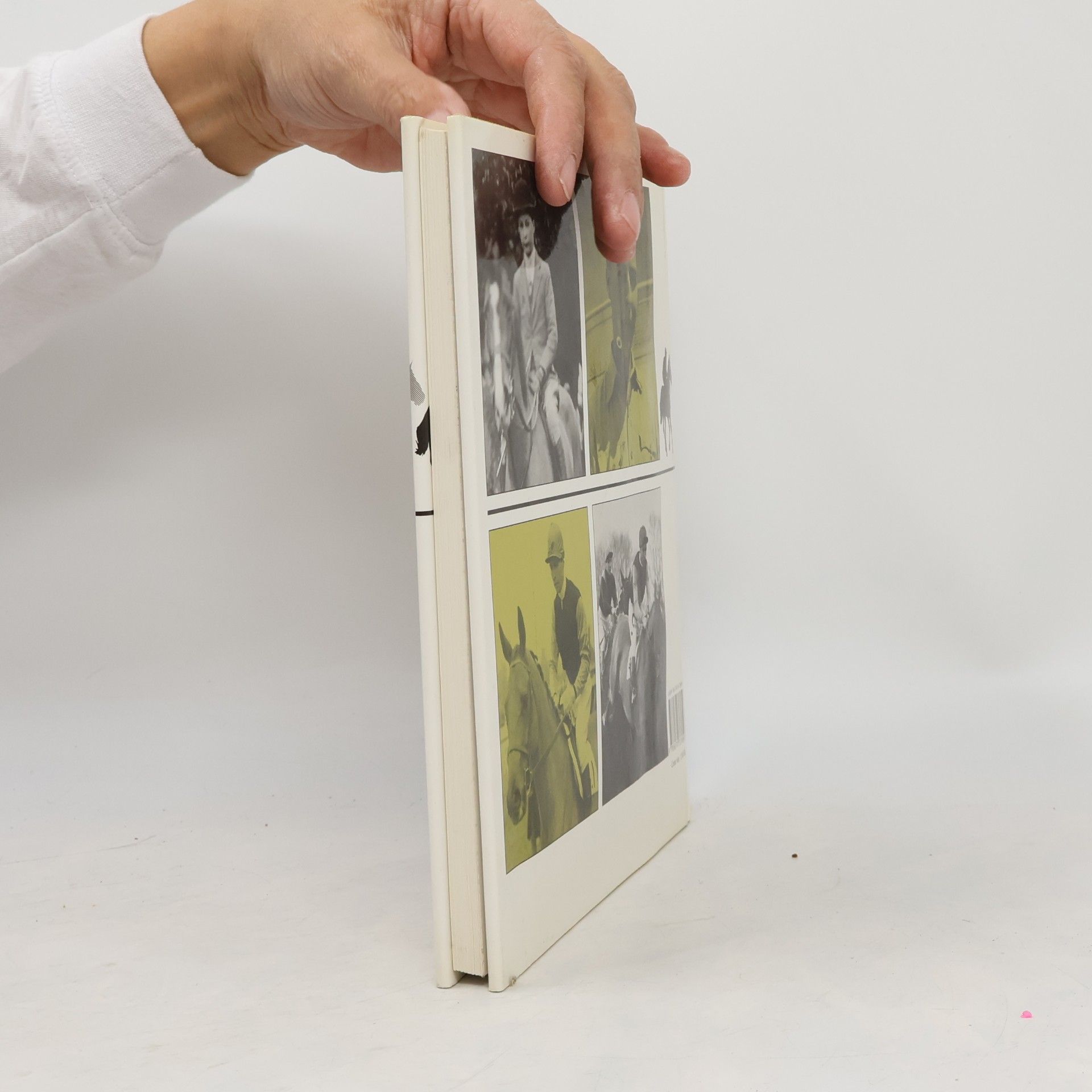 Bryony Fuller Dick Francis: žokej steeplechase