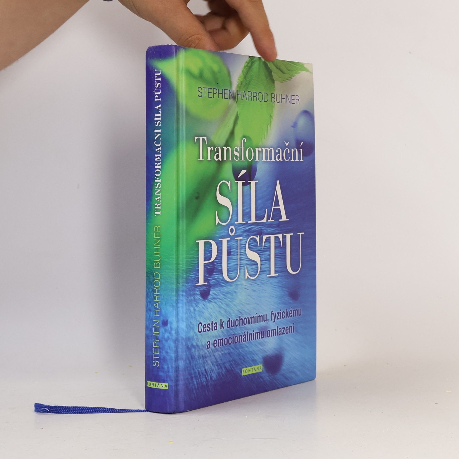 Stephen Harrod Buhner Transformační síla půstu