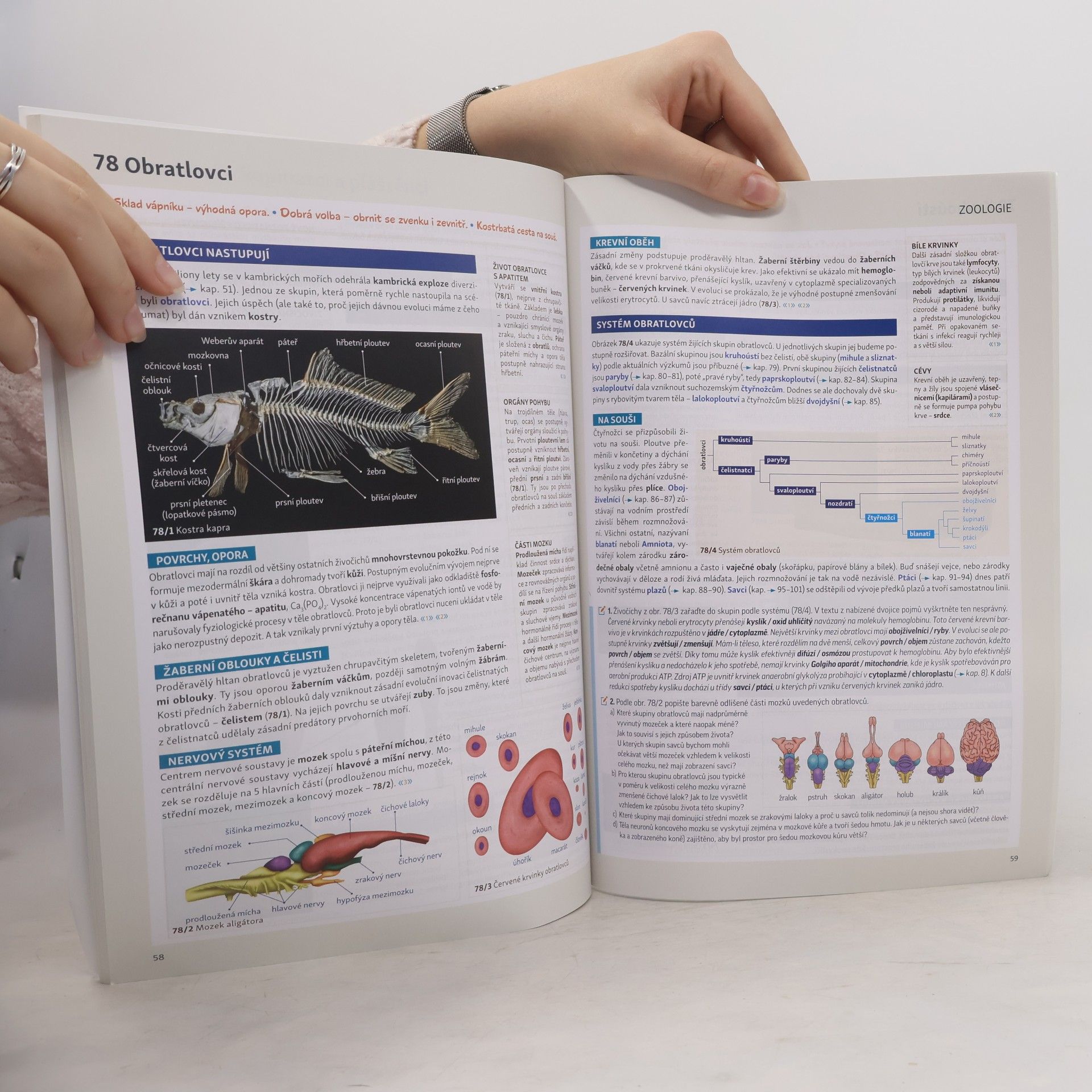 Petr Šíma Biologie pro 2. ročník gymnázií