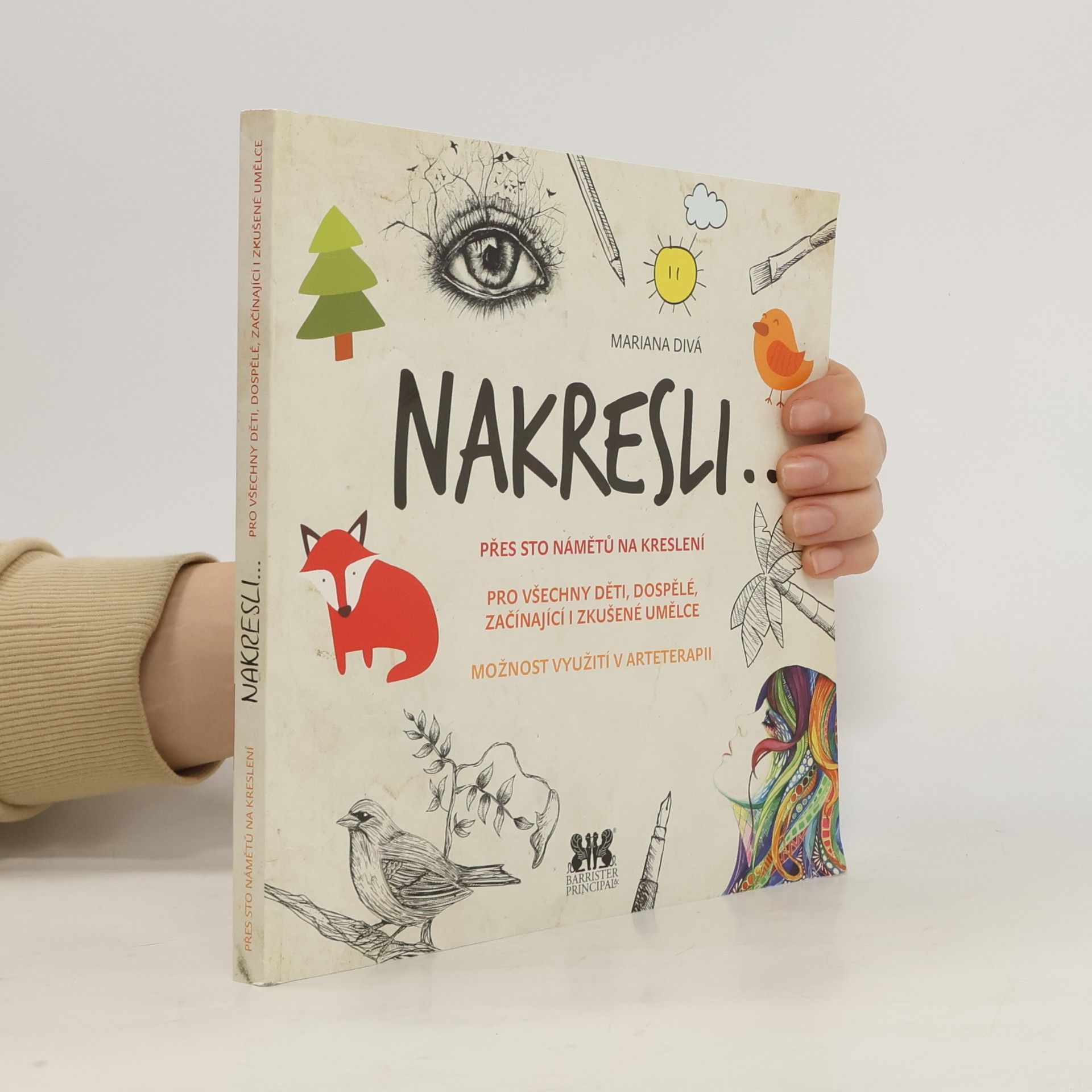 D. Mariana Nakresli... - Přes sto námětů na kreslení