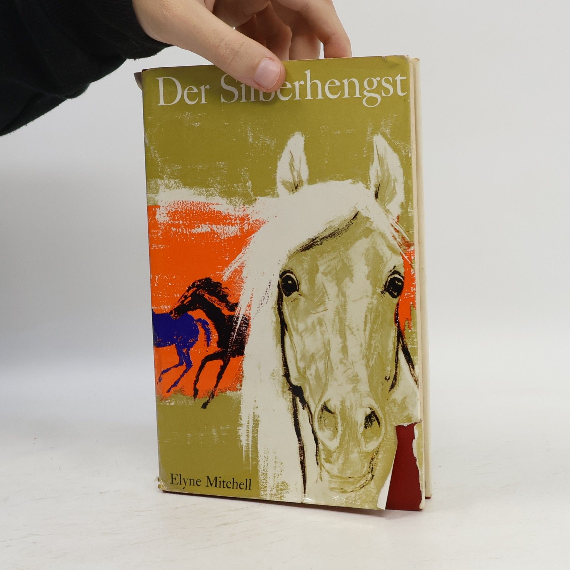 Elyne Mitchell Der Silberhengst