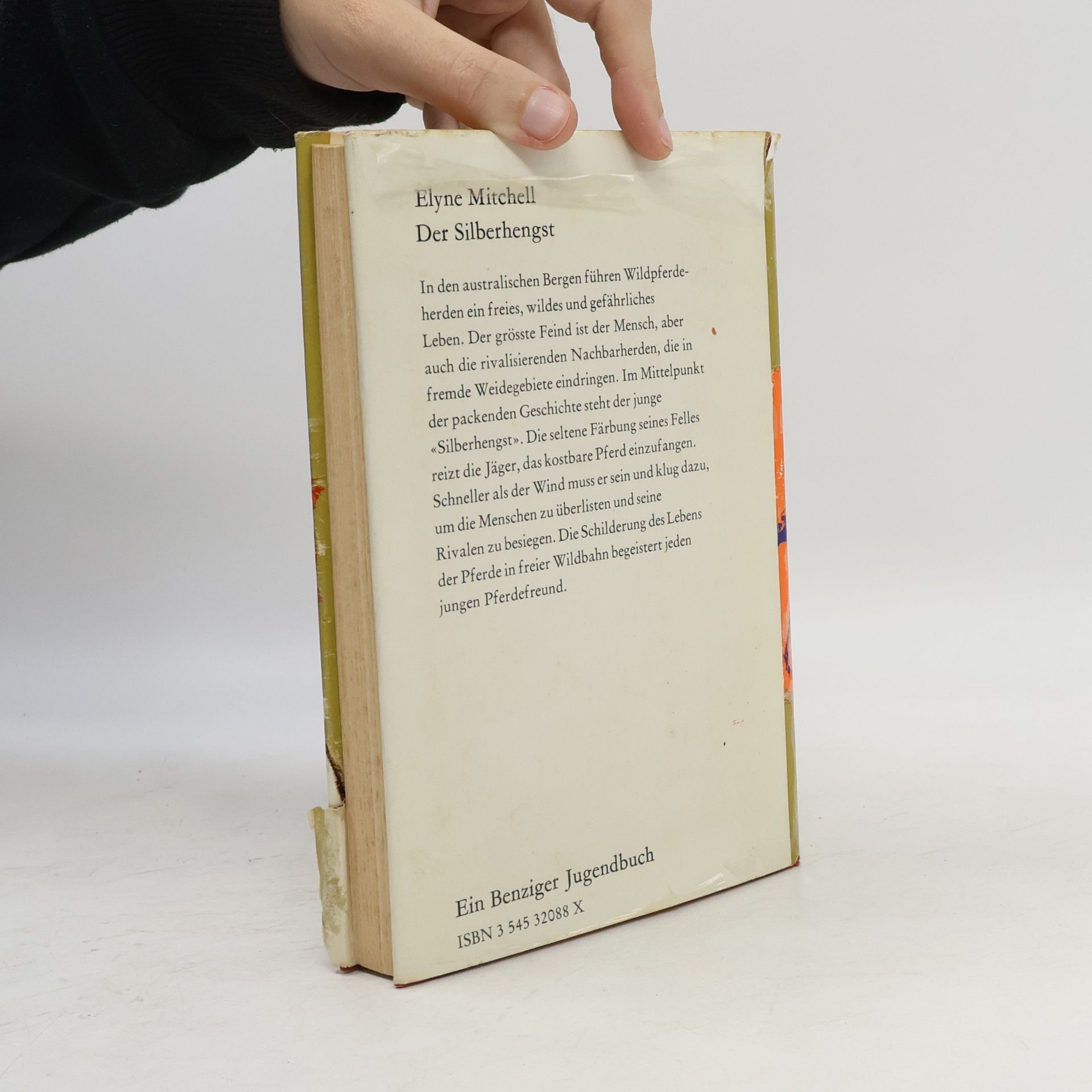 Elyne Mitchell Der Silberhengst