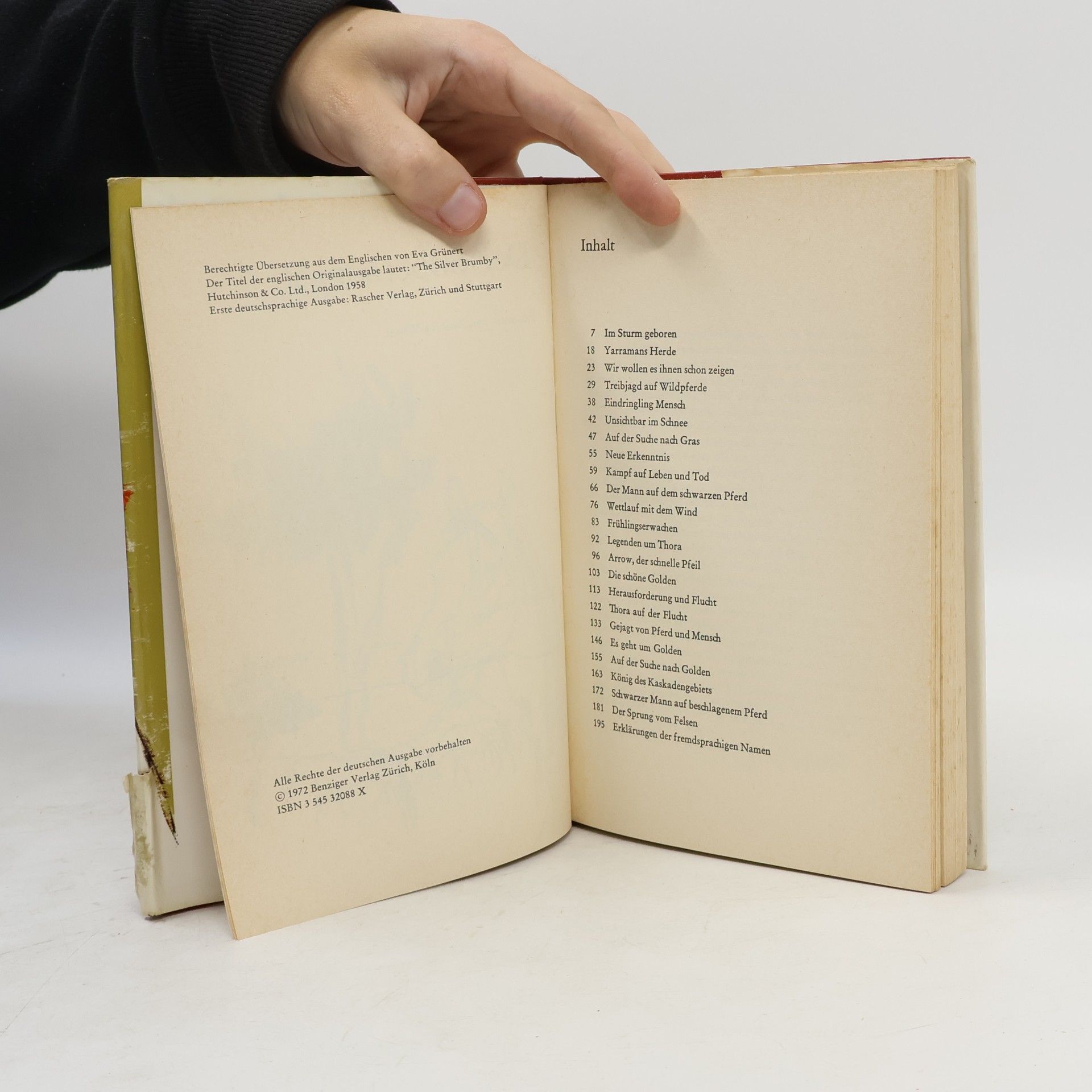 Elyne Mitchell Der Silberhengst