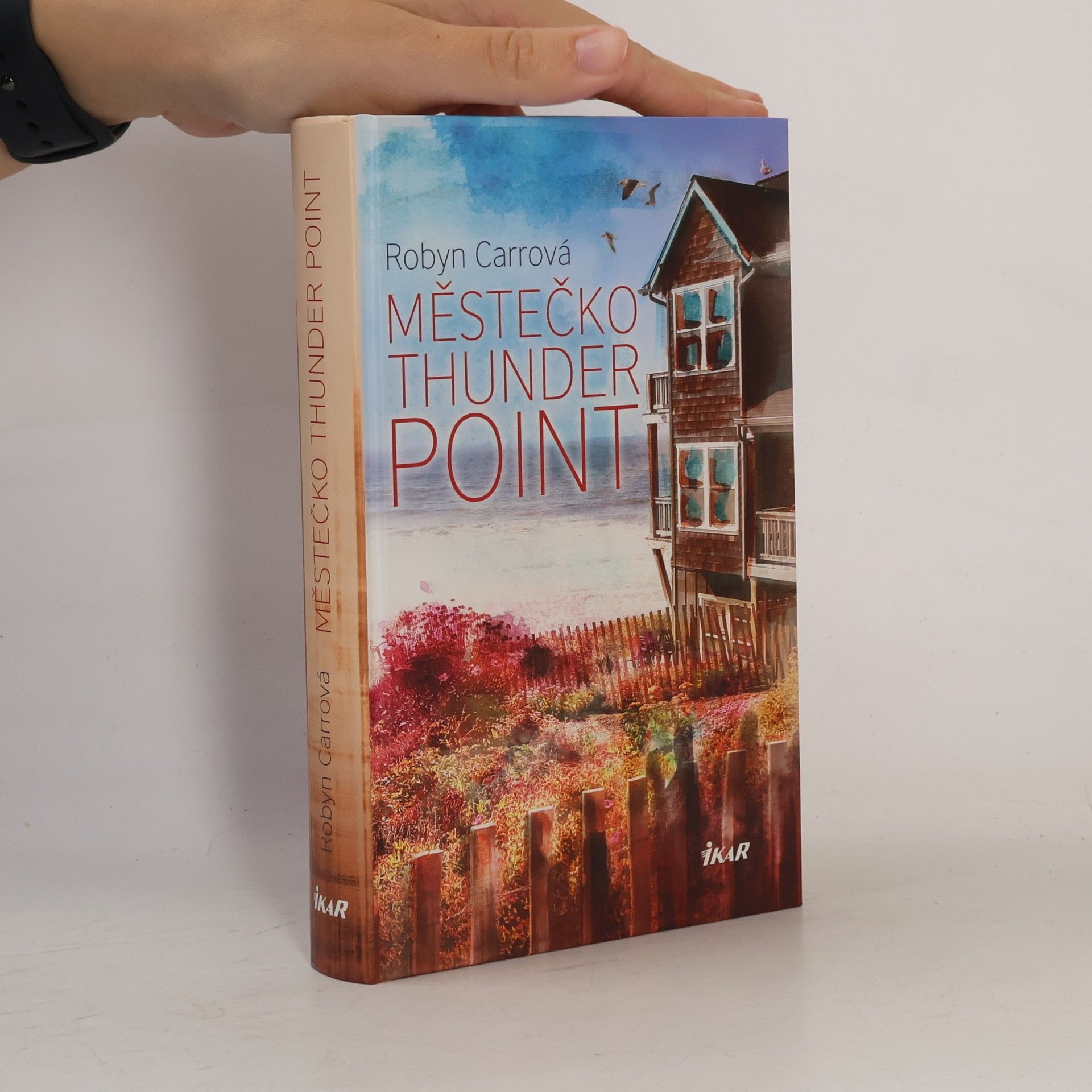 Robyn Carr Městečko Thunder Point