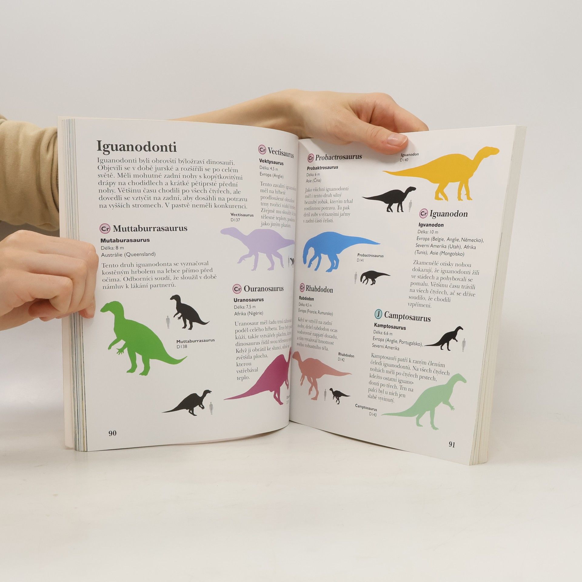 Jinny Johnson Dinosauři. Nalepovací encyklopedie