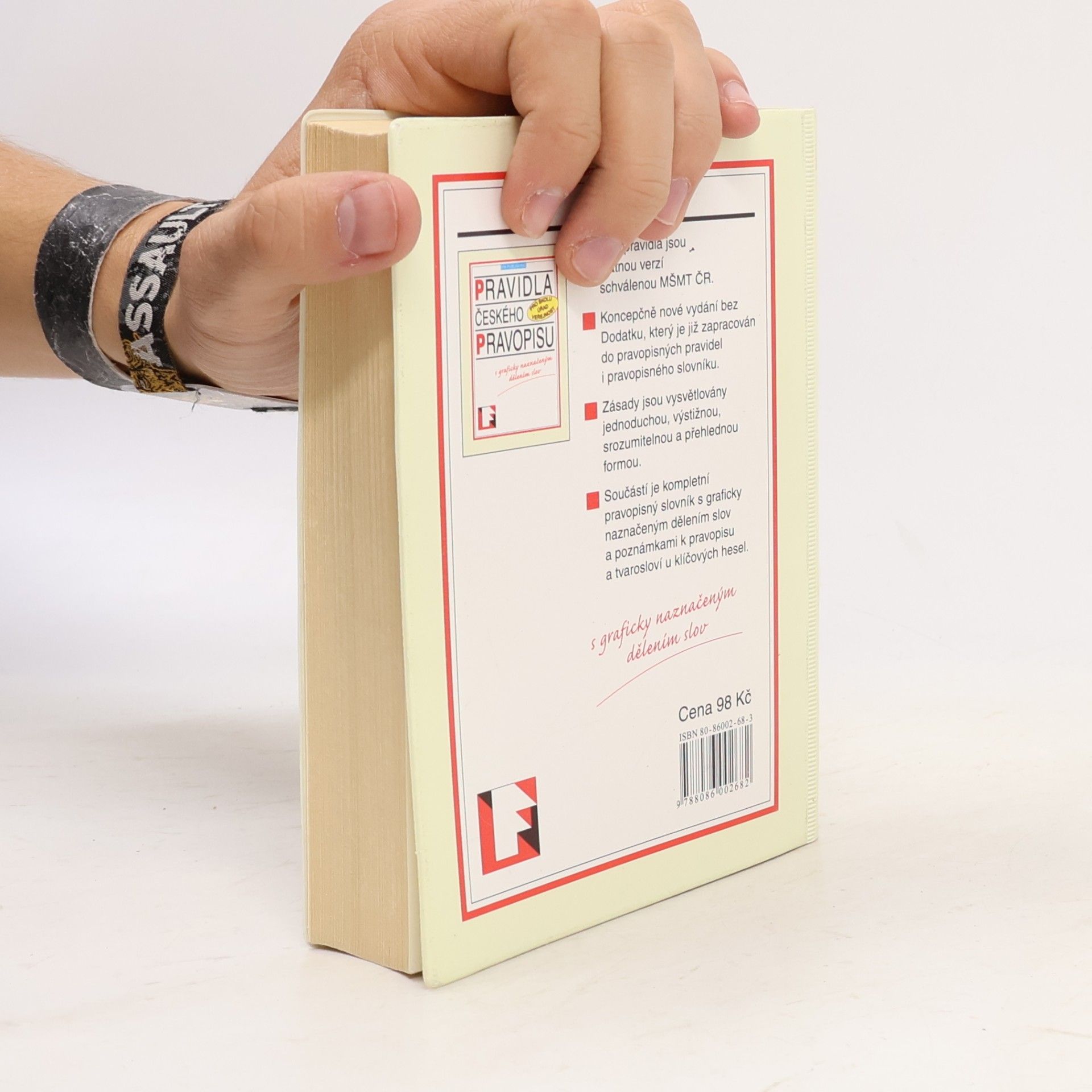 Autorenkollektiv Pravidla českého pravopisu s graficky naznačeným dělením slov
