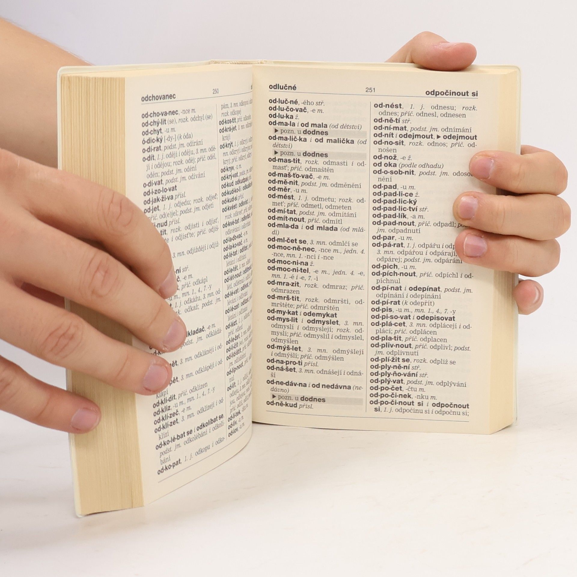 Autorenkollektiv Pravidla českého pravopisu s graficky naznačeným dělením slov
