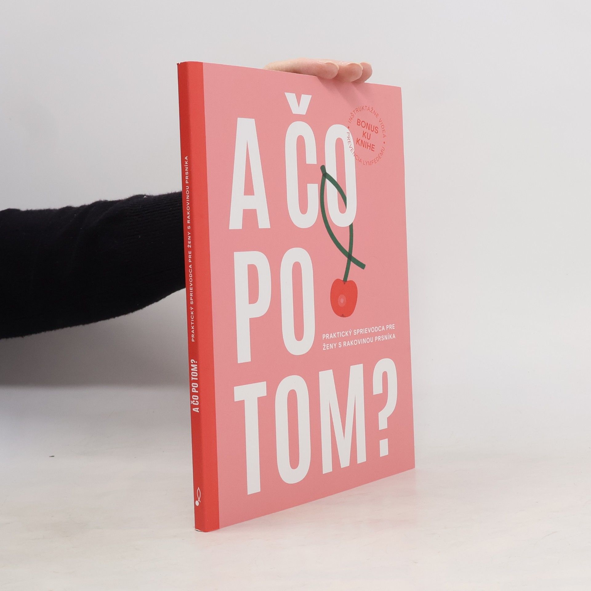 Anna Brňáková A čo po tom?