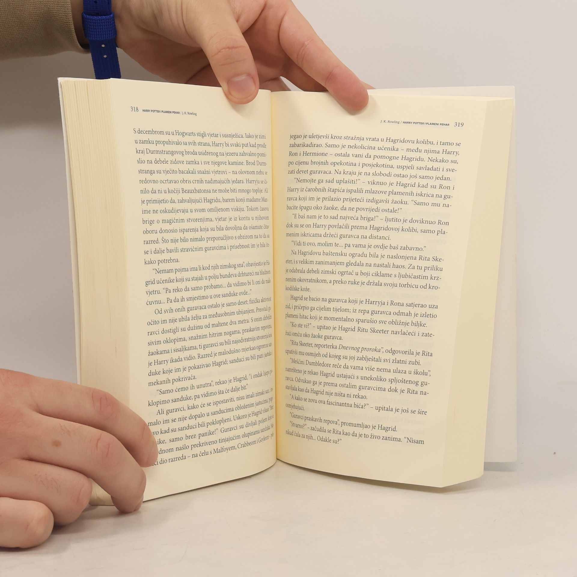 Joanne K. Rowling Harry Potter i plameni pehar