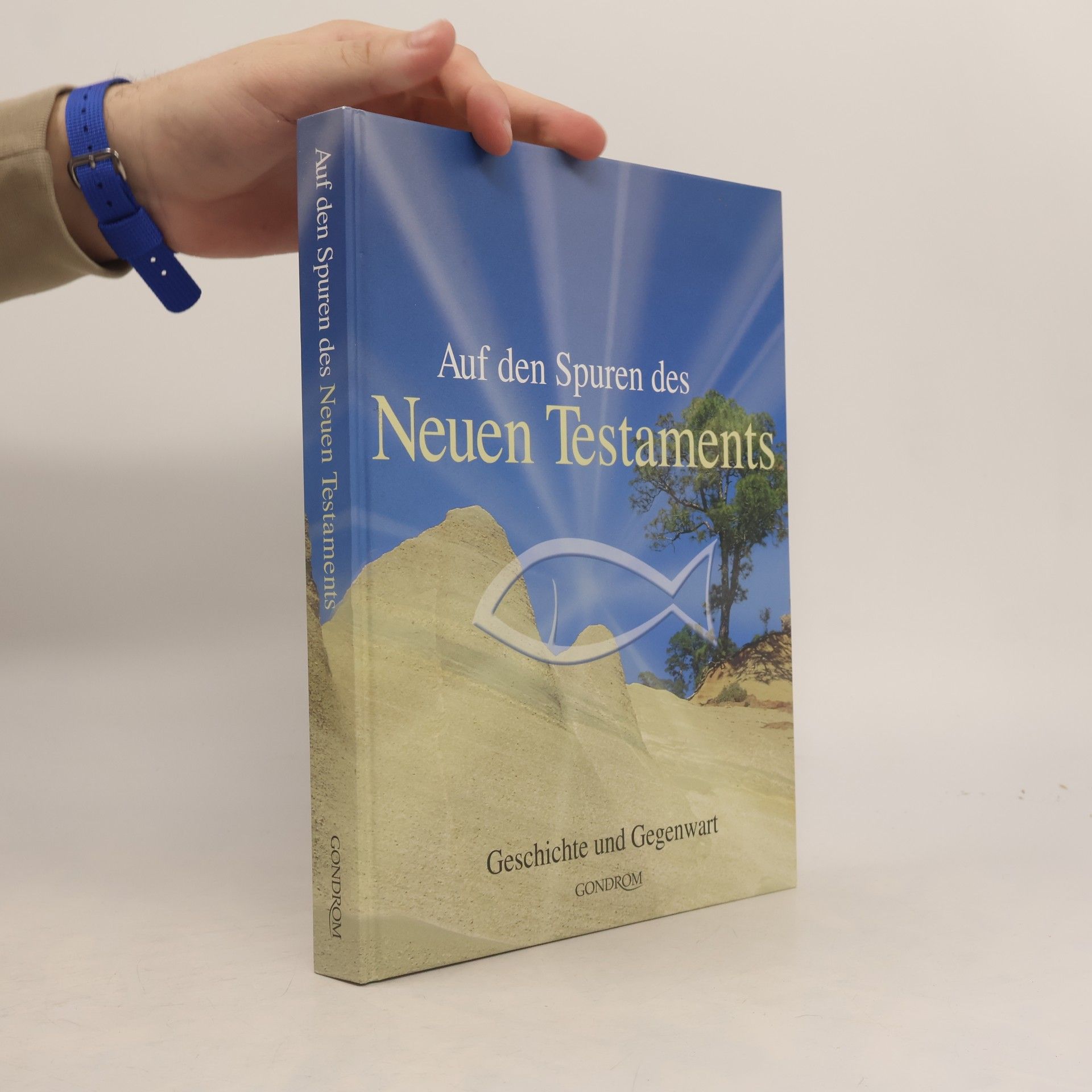 Iris Hahner Herzog Auf den Spuren des Neuen Testaments