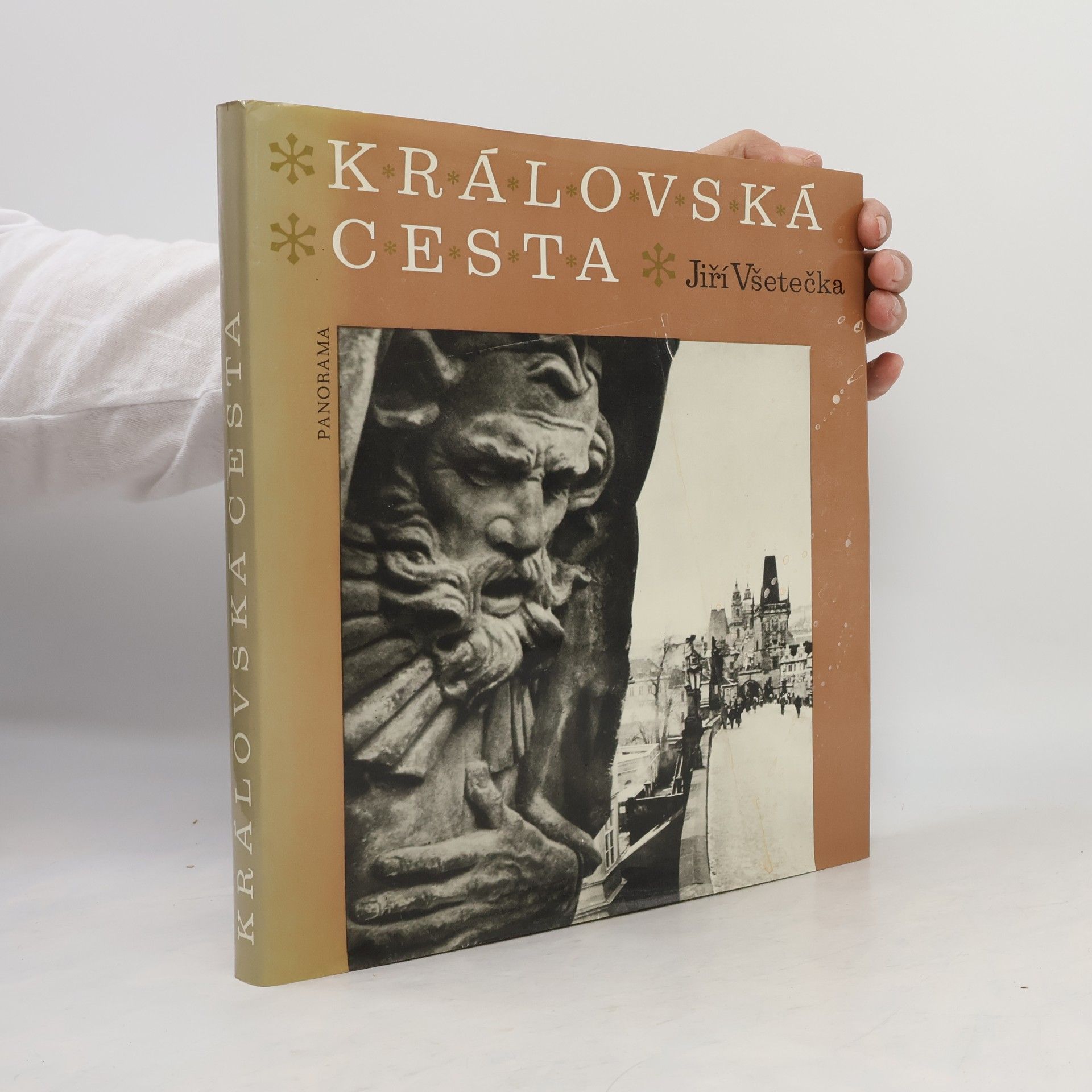 Jiří Všetečka Královská cesta