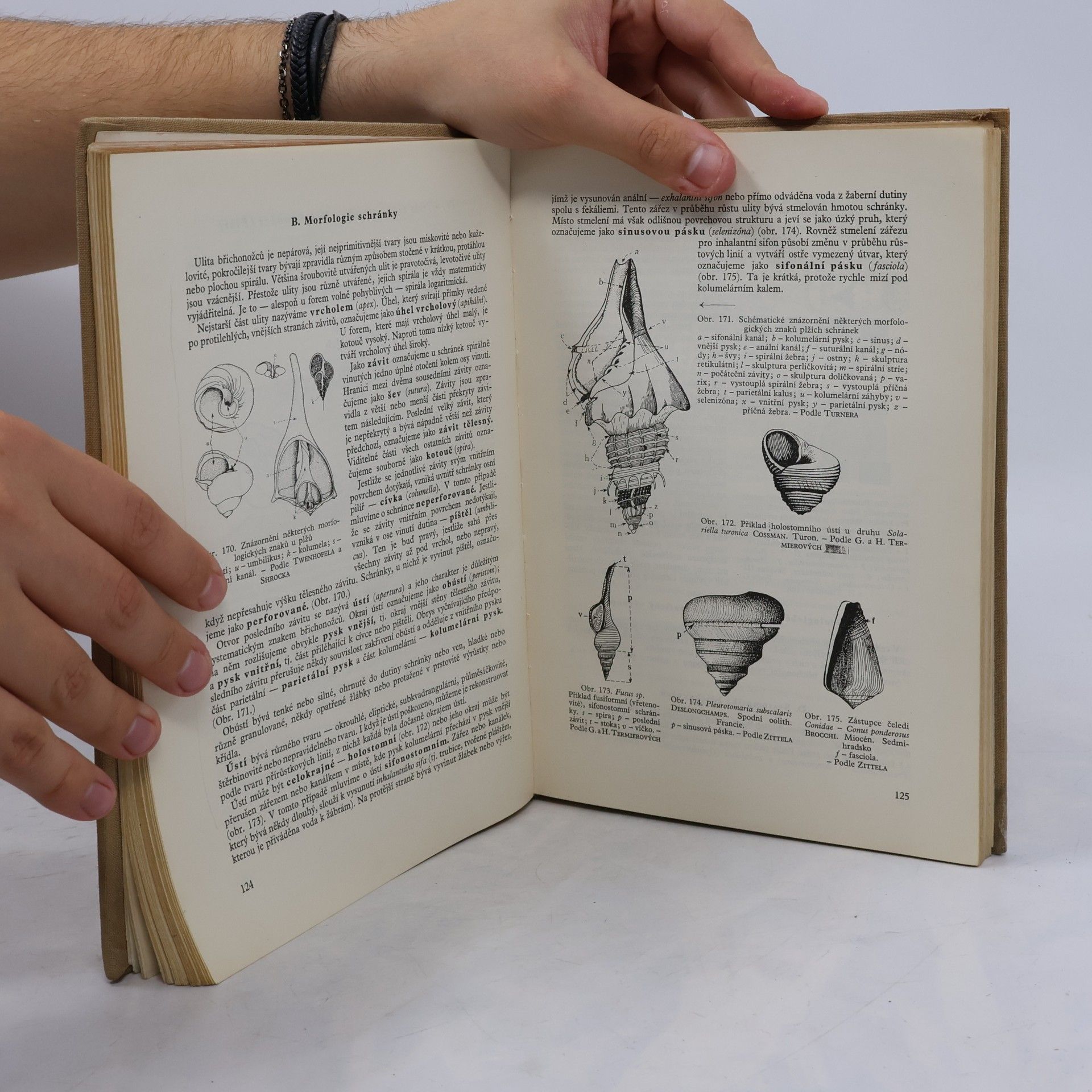 Josef Dvořák Historická geologie II. Paleontologie