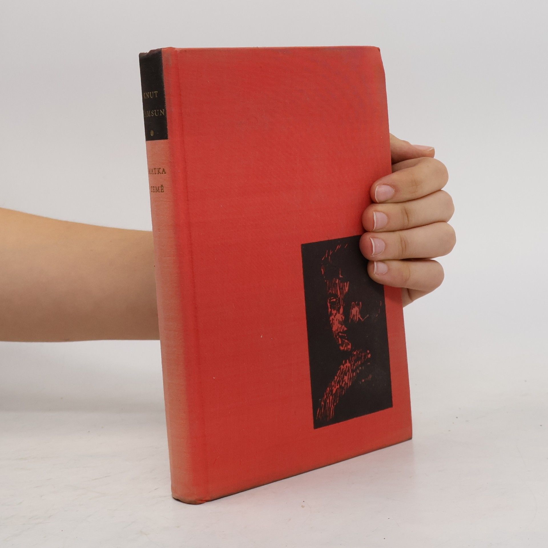 Knut Hamsun Matka země