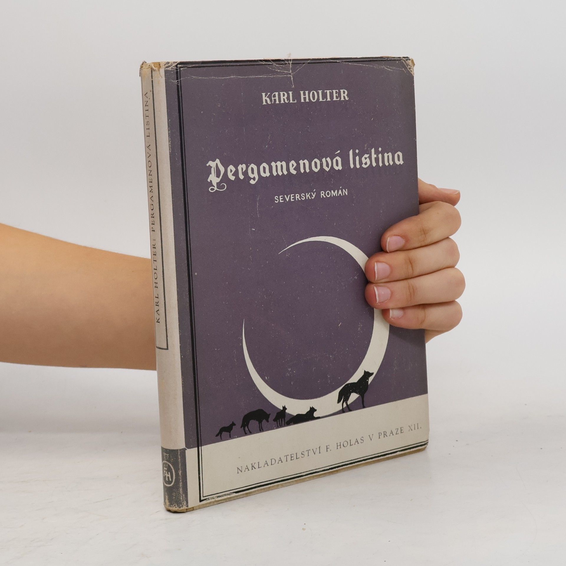 Karl Holter Pergamenová listina. Severský román