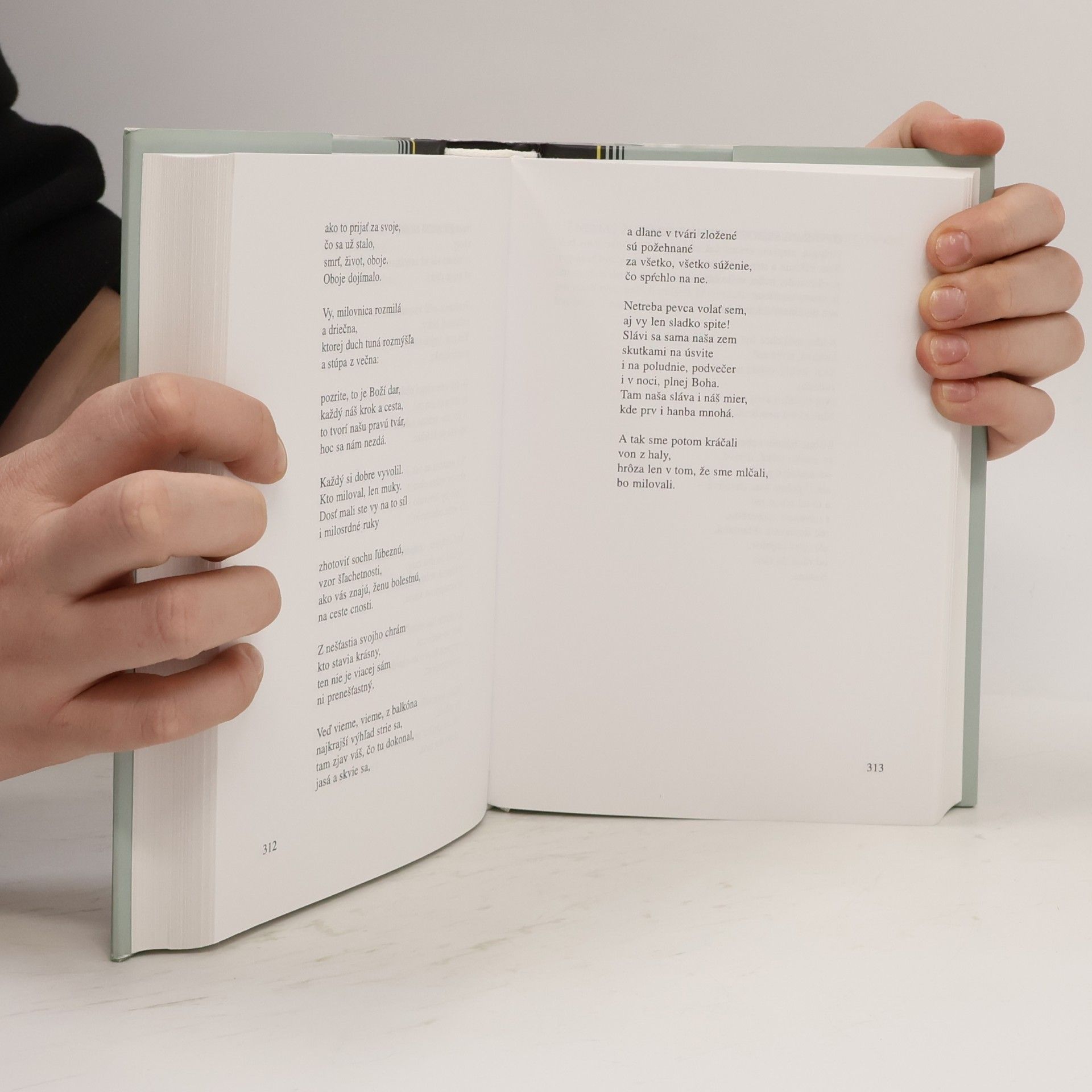 Autorenkollektiv Poézia slovenskej katolíckej moderny