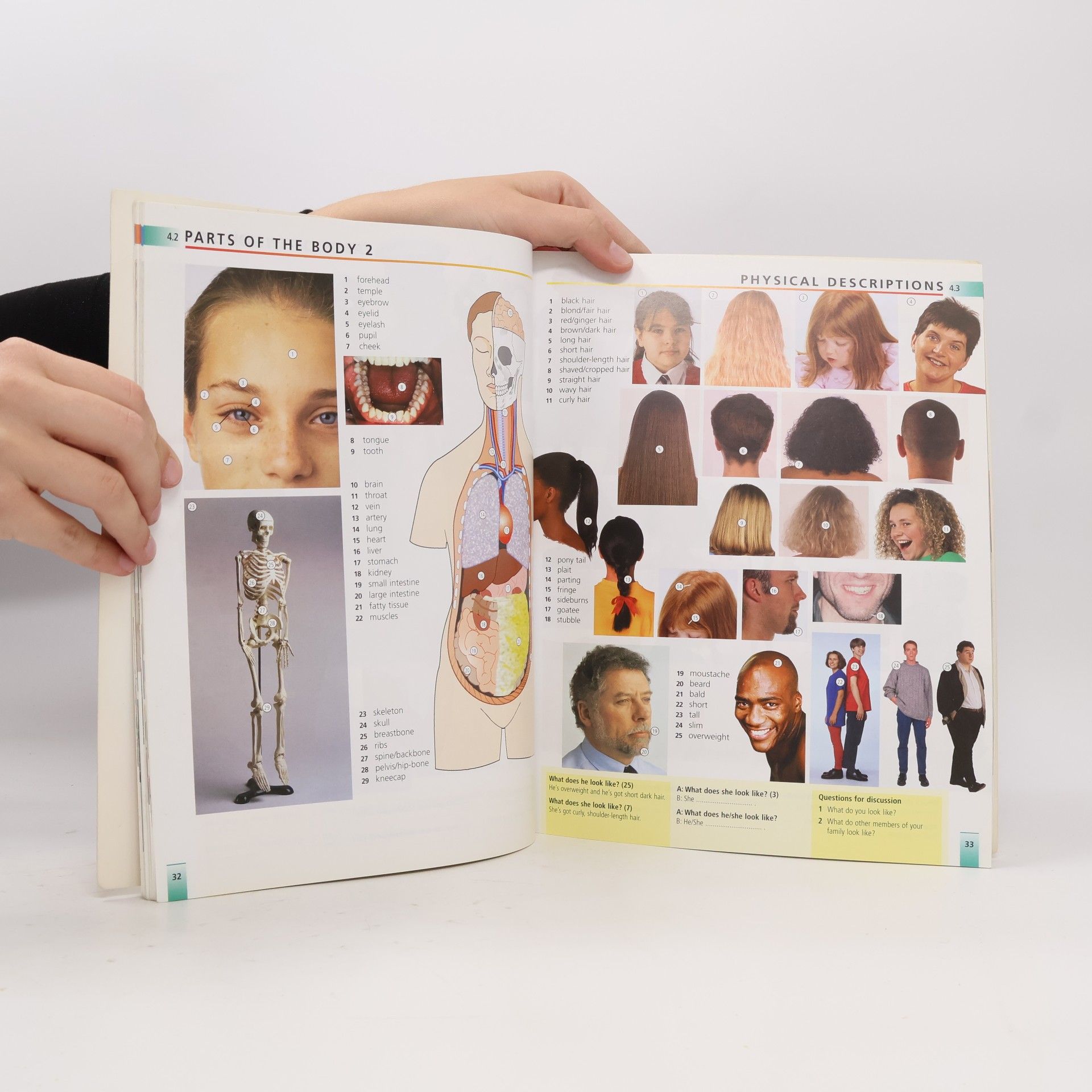 Karen Young Longman Photo Dictionary