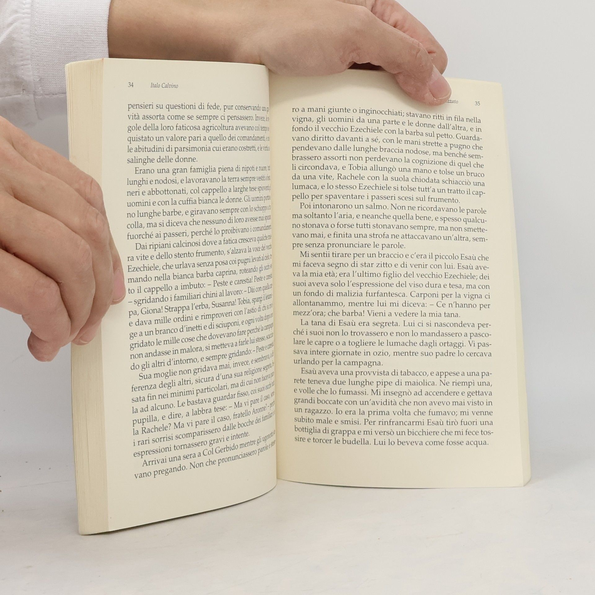 Italo Calvino Il visconte dimezzato