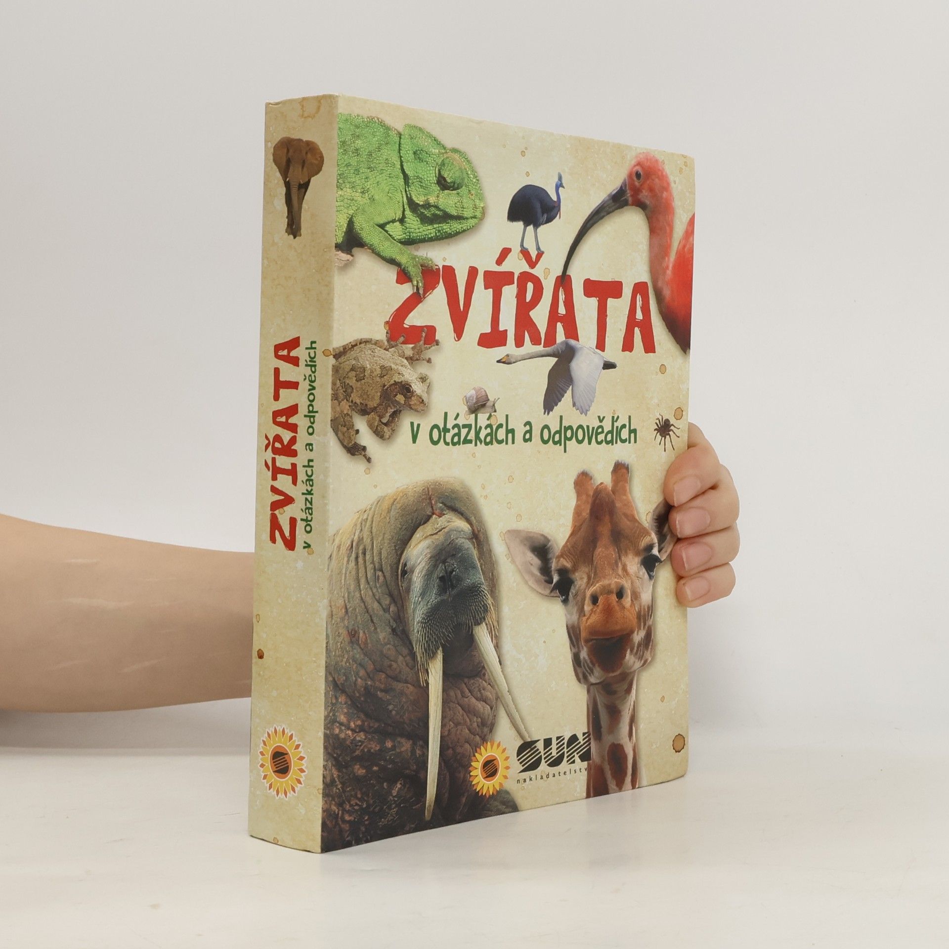 Irene Ceruti Zvířata v otázkách a odpovědích