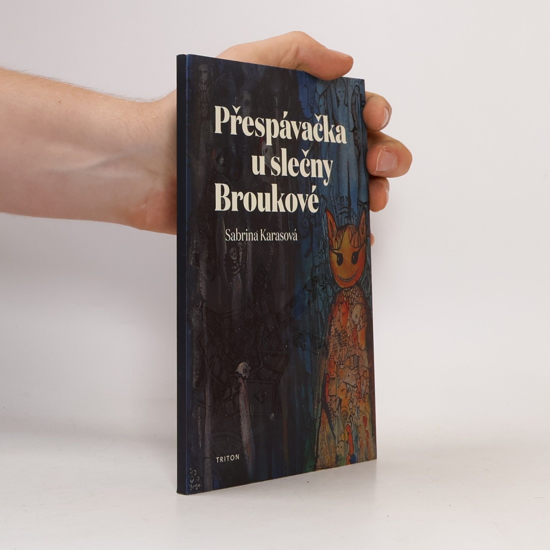 Přespávačka u slečny Broukové