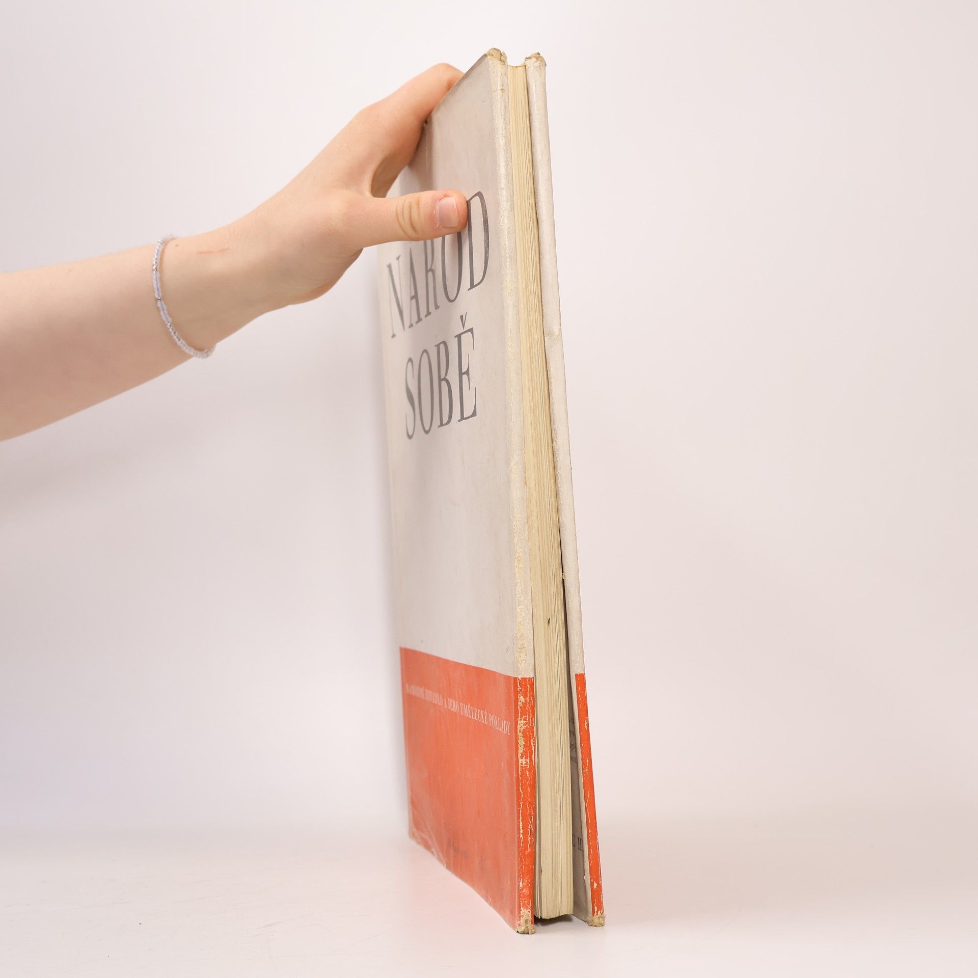 Various authors Národ sobě