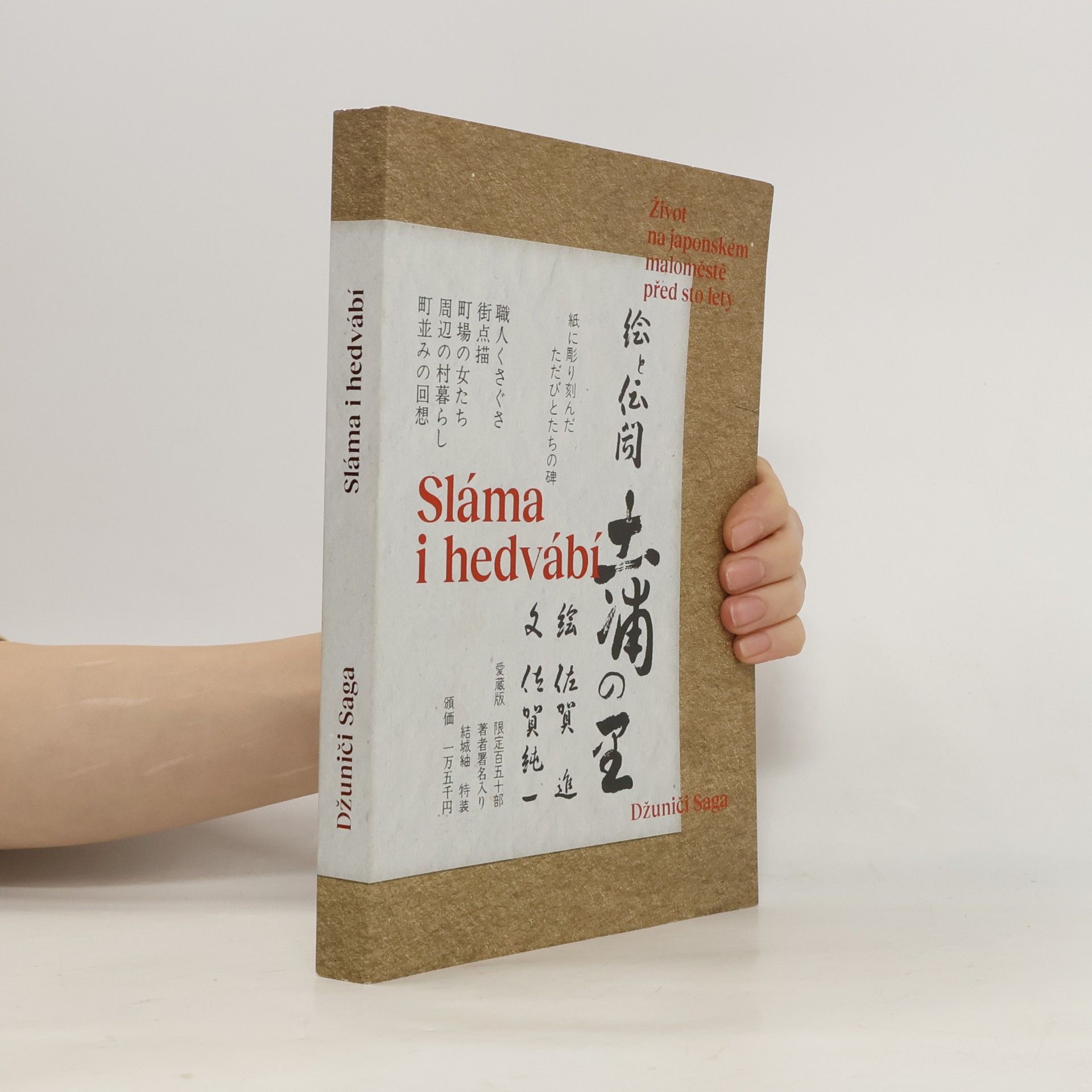 Jun ichi Saga Sláma i hedvábí: Život na japonském maloměstě před sto lety