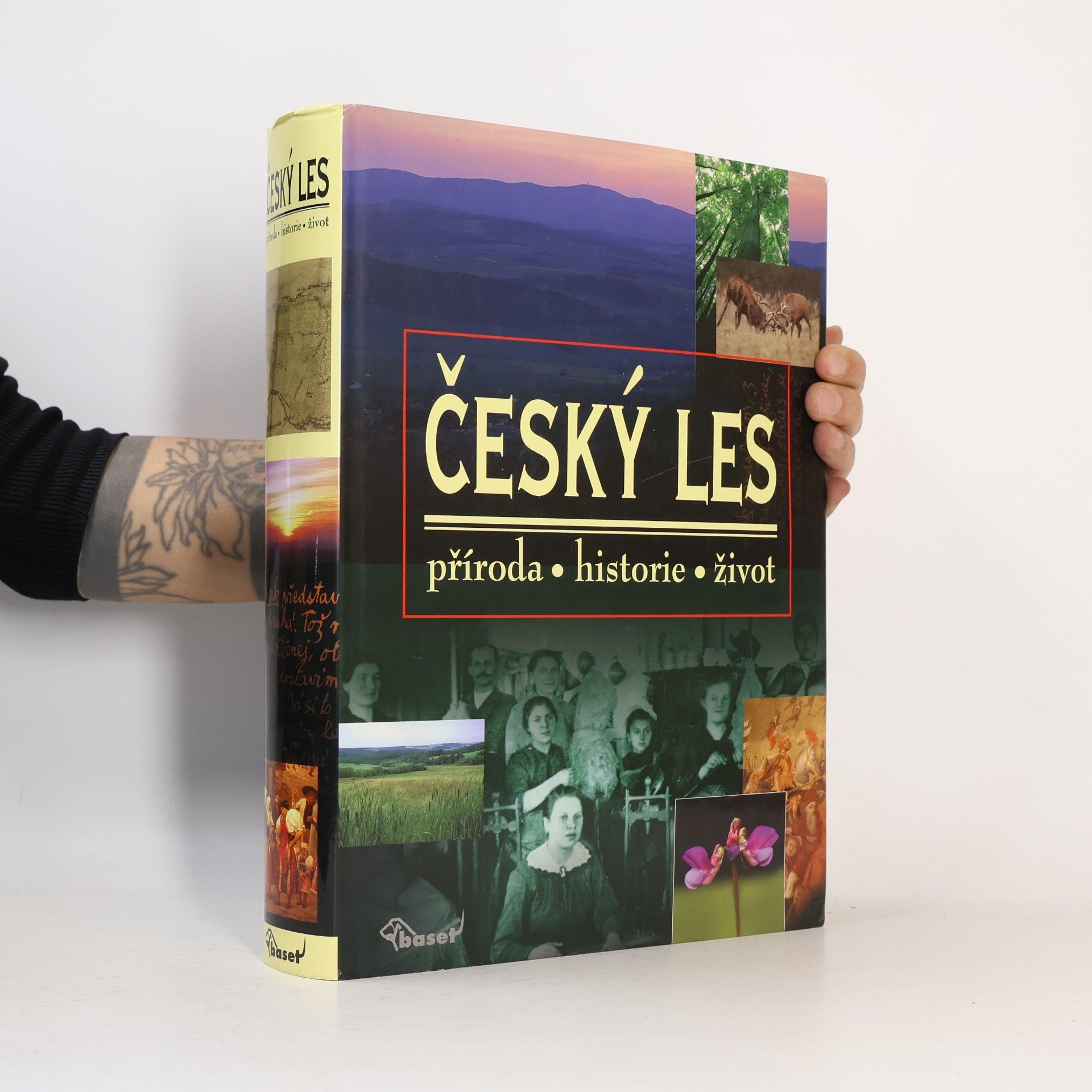 Český les