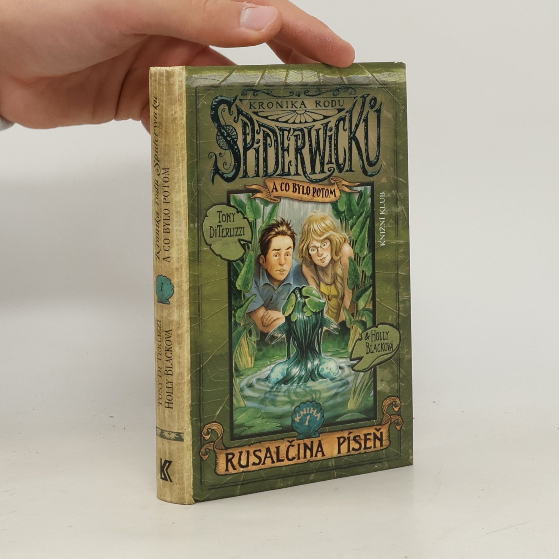 Tony DiTerlizzi Kronika rodu Spiderwicků a co bylo potom. Kniha 1, Rusalčina píseň