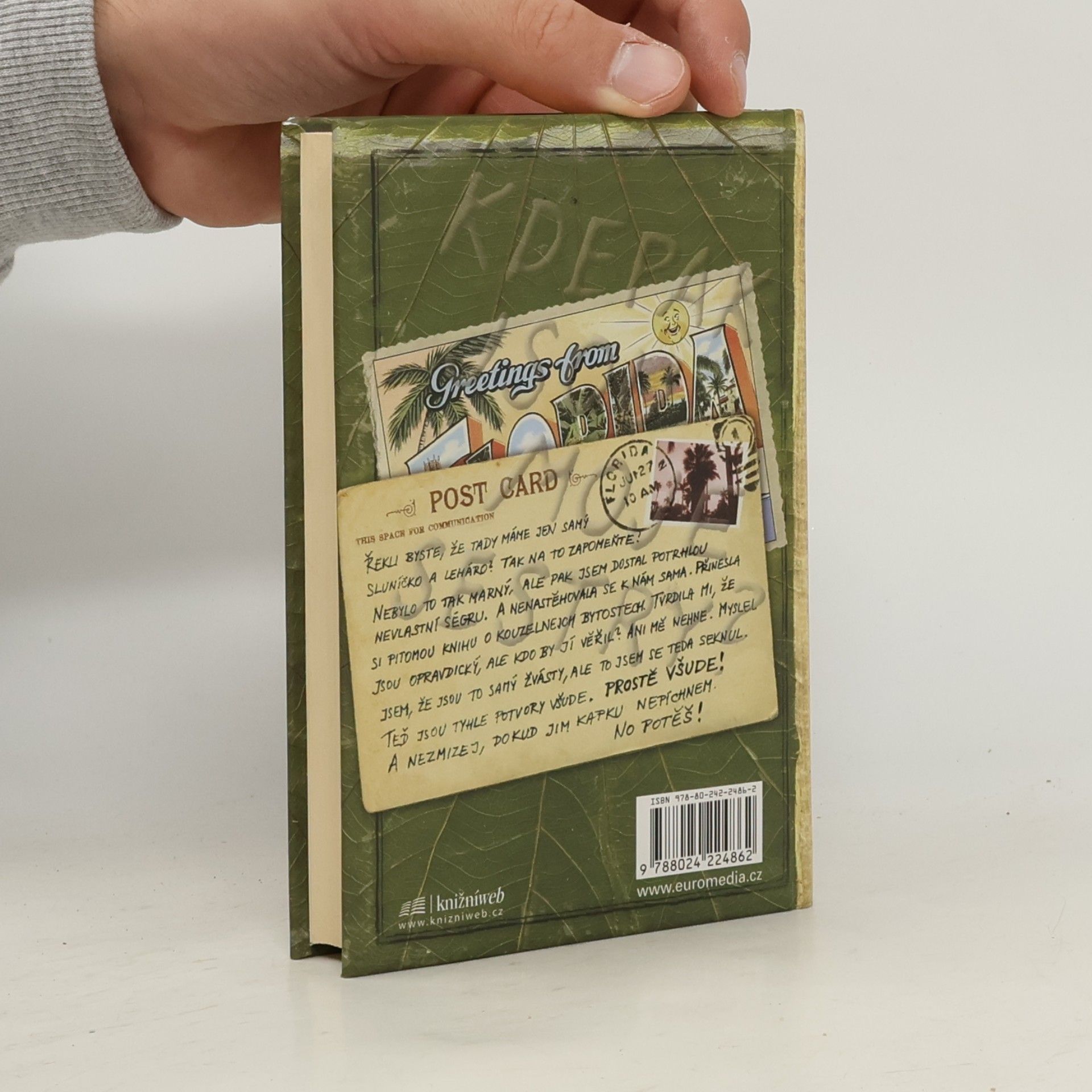 Tony DiTerlizzi Kronika rodu Spiderwicků a co bylo potom. Kniha 1, Rusalčina píseň