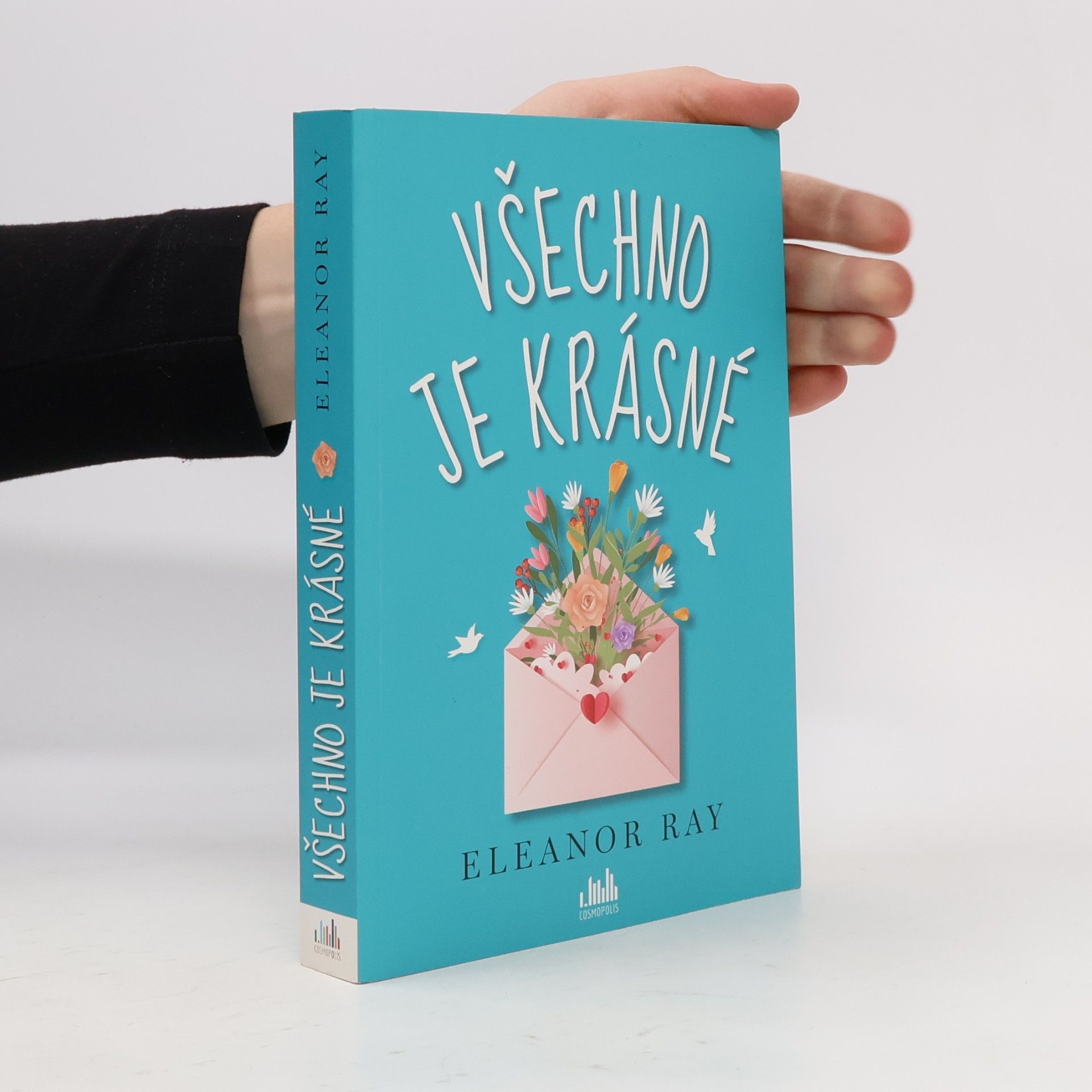 Eleanor Ray Všechno je krásné
