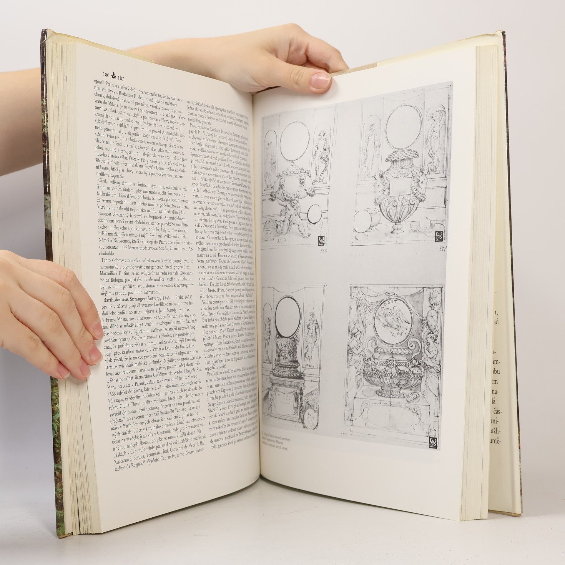 Autores varios Dějiny českého výtvarného umění II/1