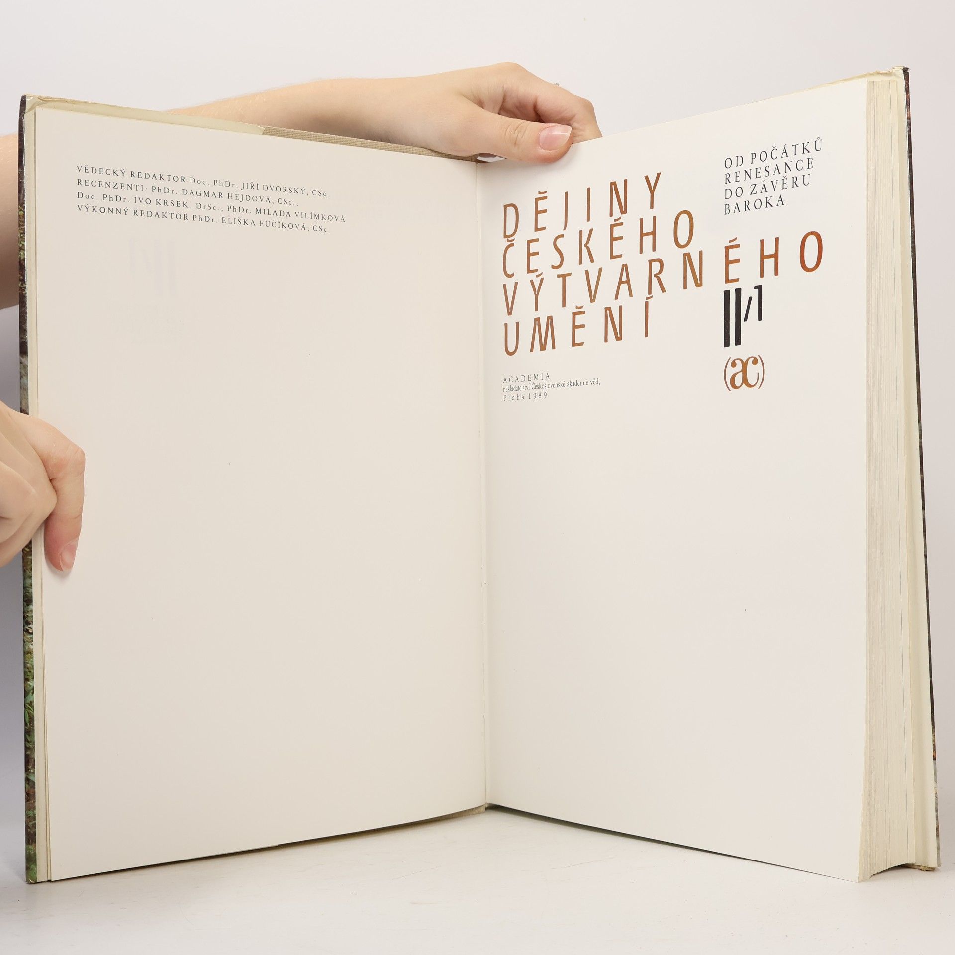 Autores varios Dějiny českého výtvarného umění II/1