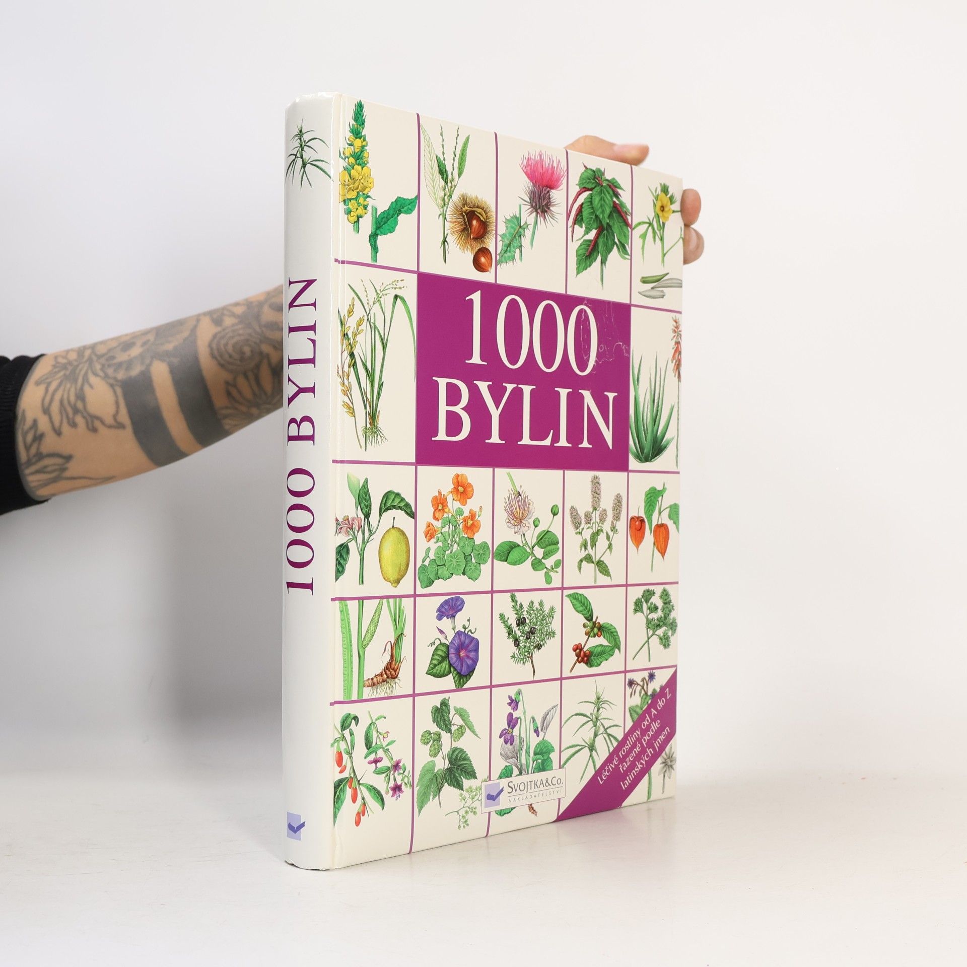 Kolektiv autorů 1000 bylin