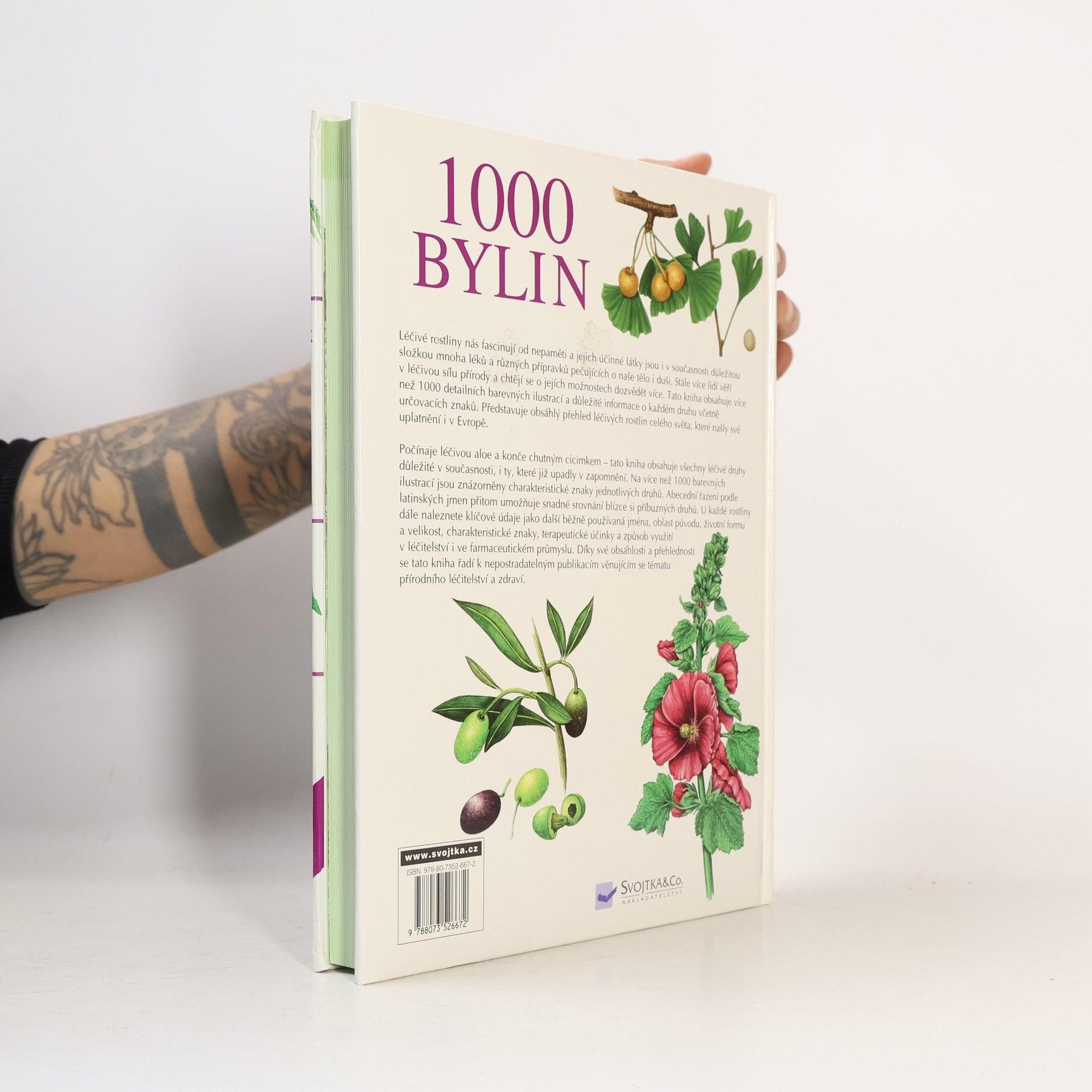 Various authors 1000 bylin