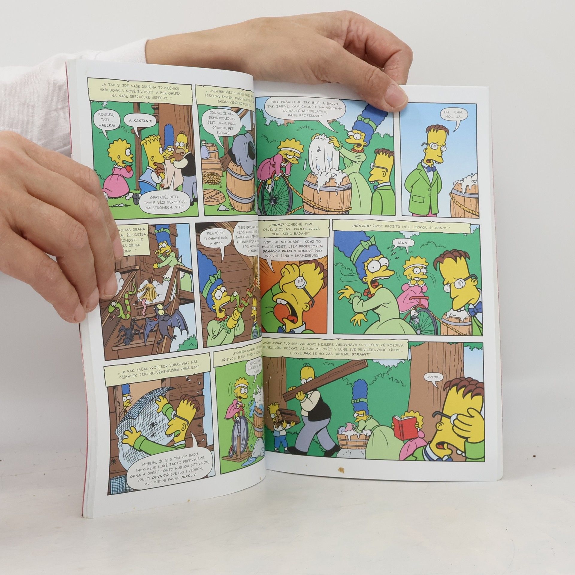 Matt Groening Simpsonovi. Komiksová estráda