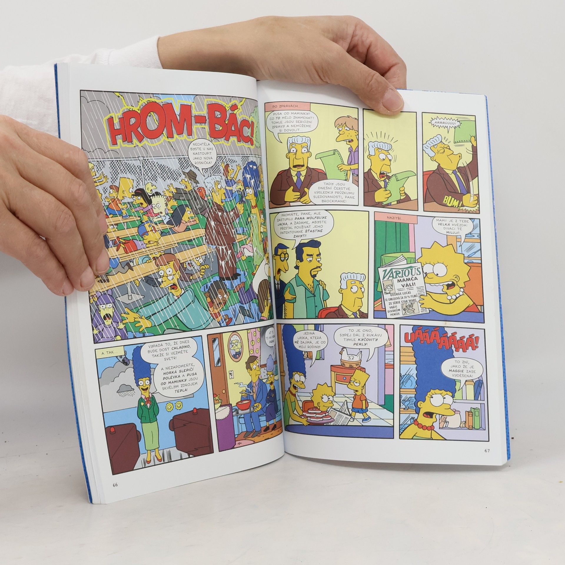 Matt Groening Simpsonovi: Supernova