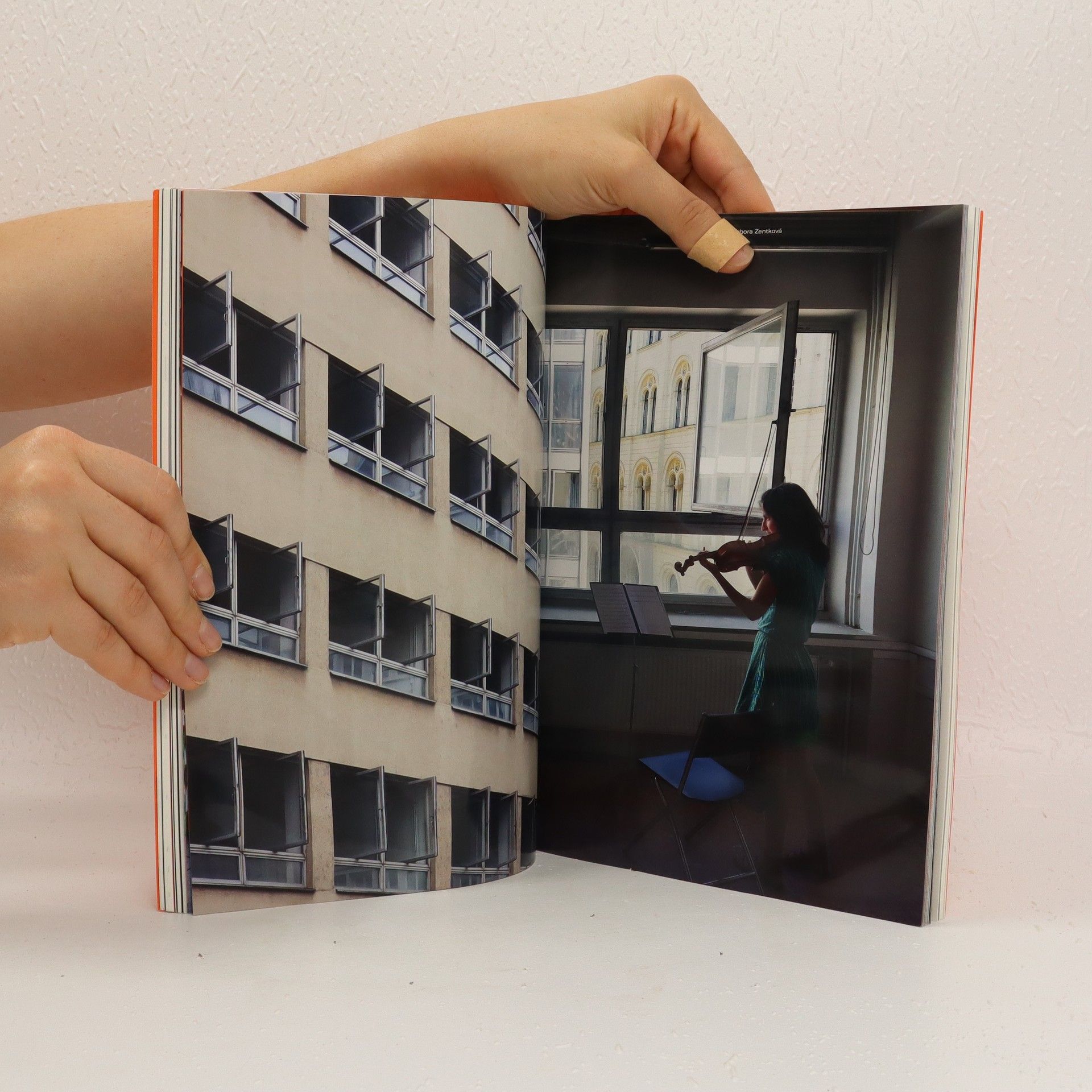 Brno Art Open Sochy v. ulicích akce Sochy v ulicích. Dichtung und Wahrheit