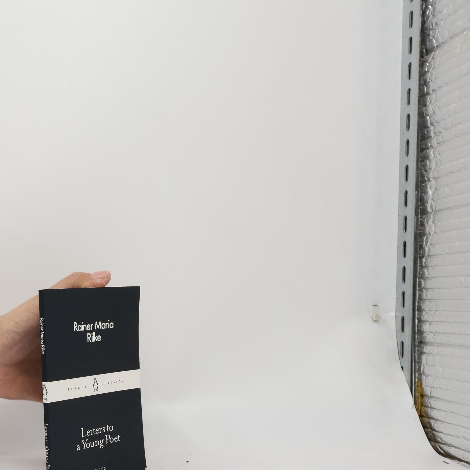 Rainer Maria Rilke Letters to a Young Poet