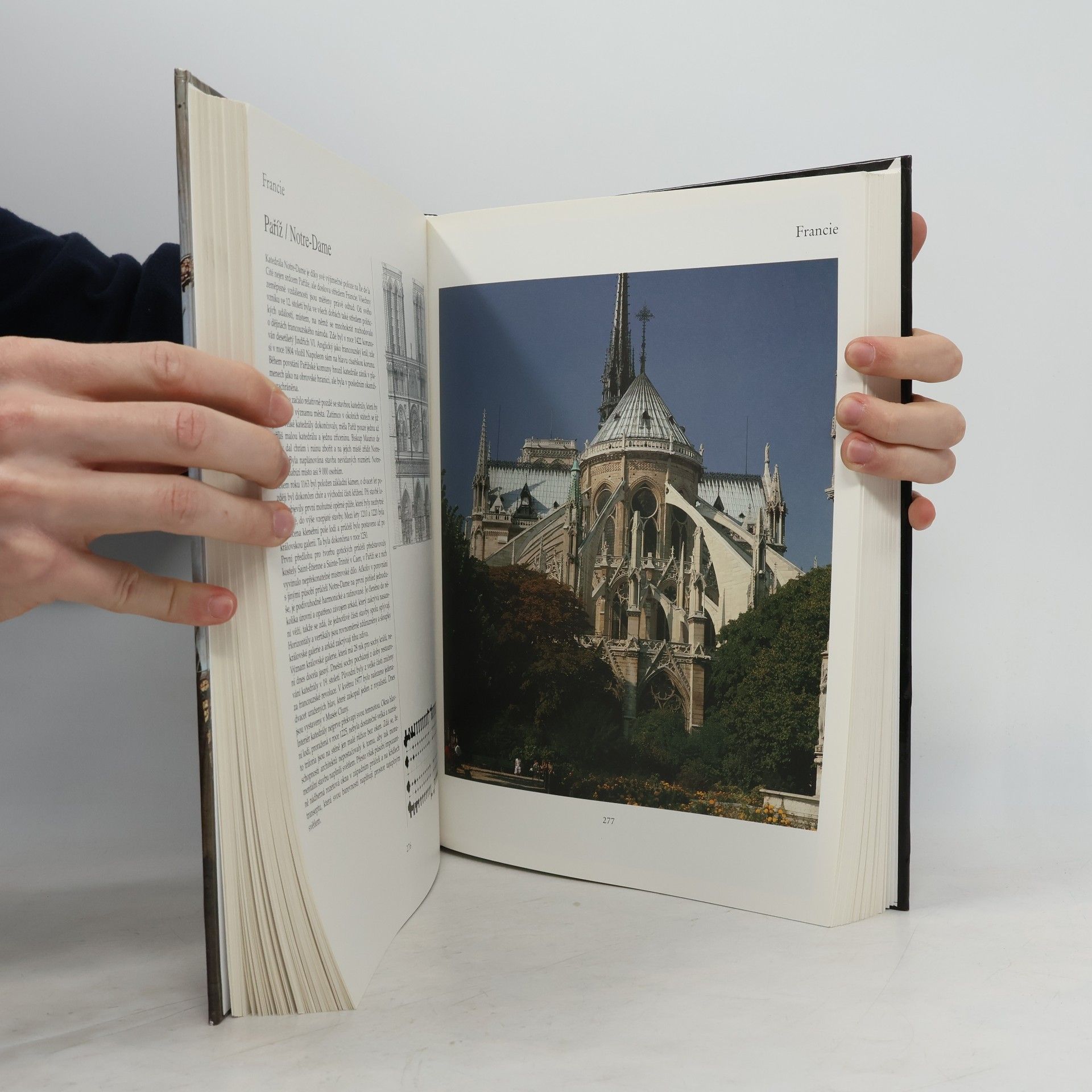 Various authors Skvosty Evropy: Katedrály - kláštery - poutní místa