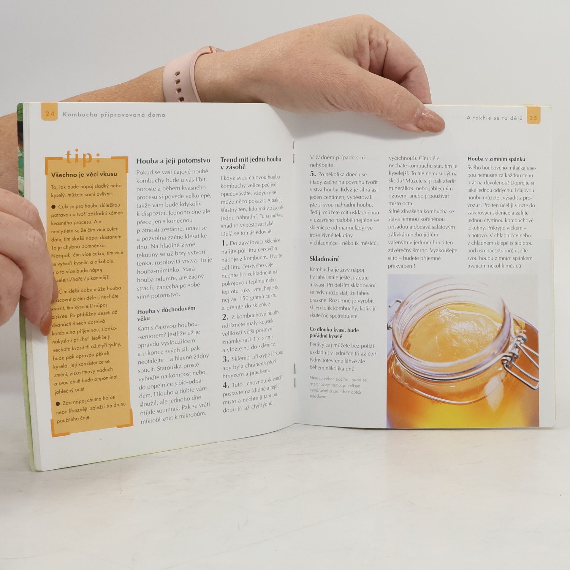 Birgit Sesterhenn Kombucha. Nápoj pro výbornou kondici a elixír krásy