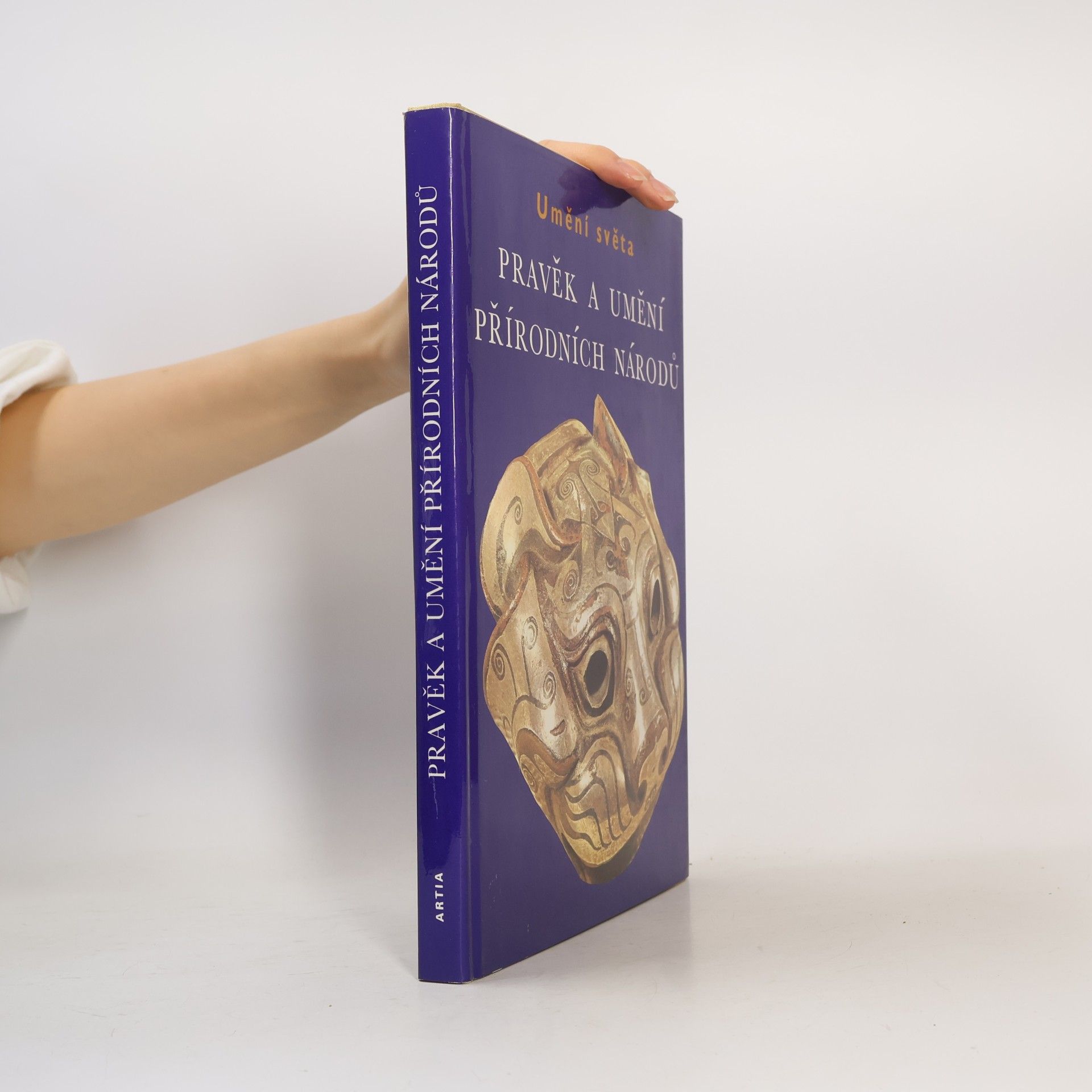 Autorenkollektiv Pravěk a umění přírodních národů